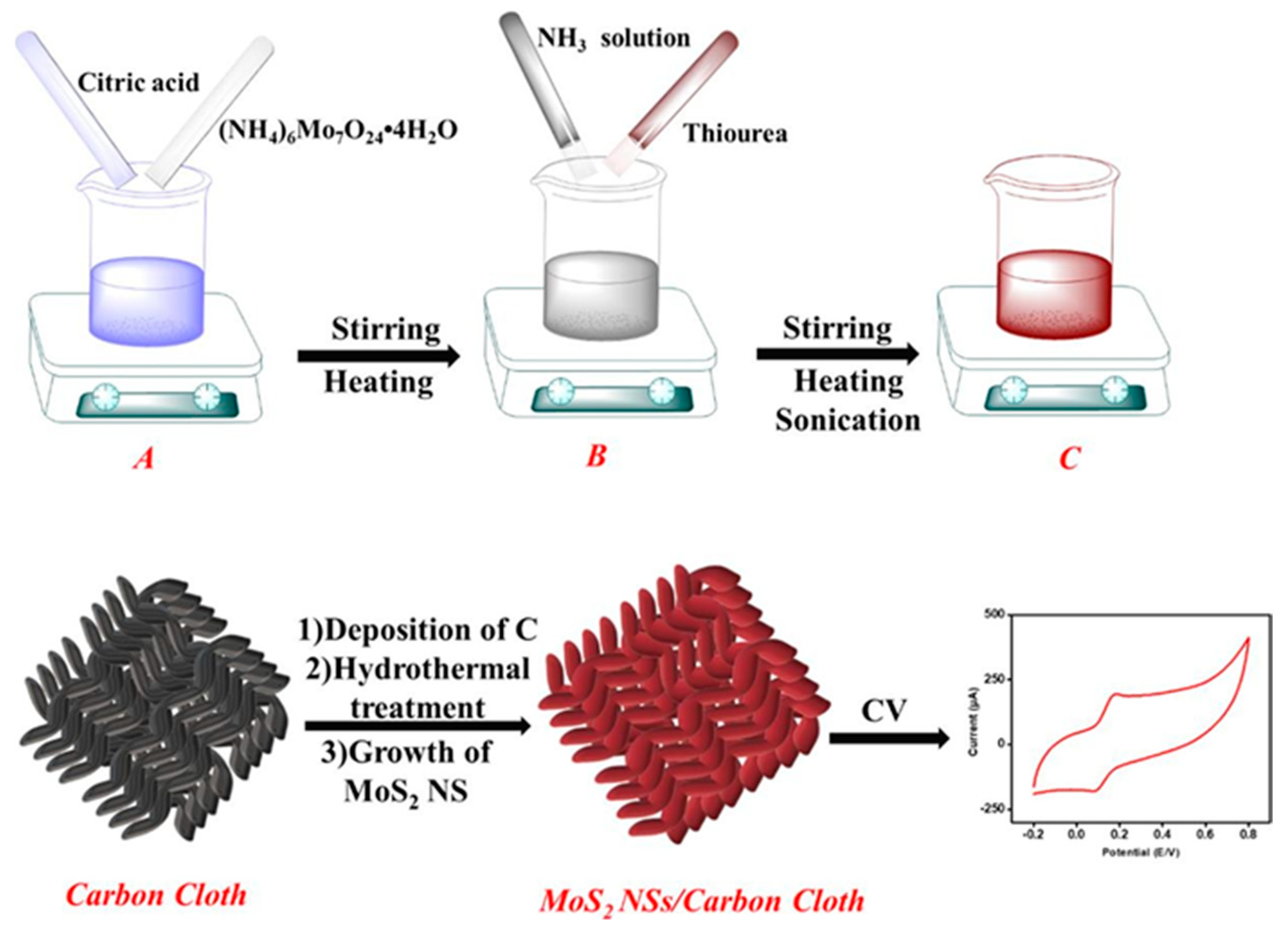 Molecules 29 00172 g008