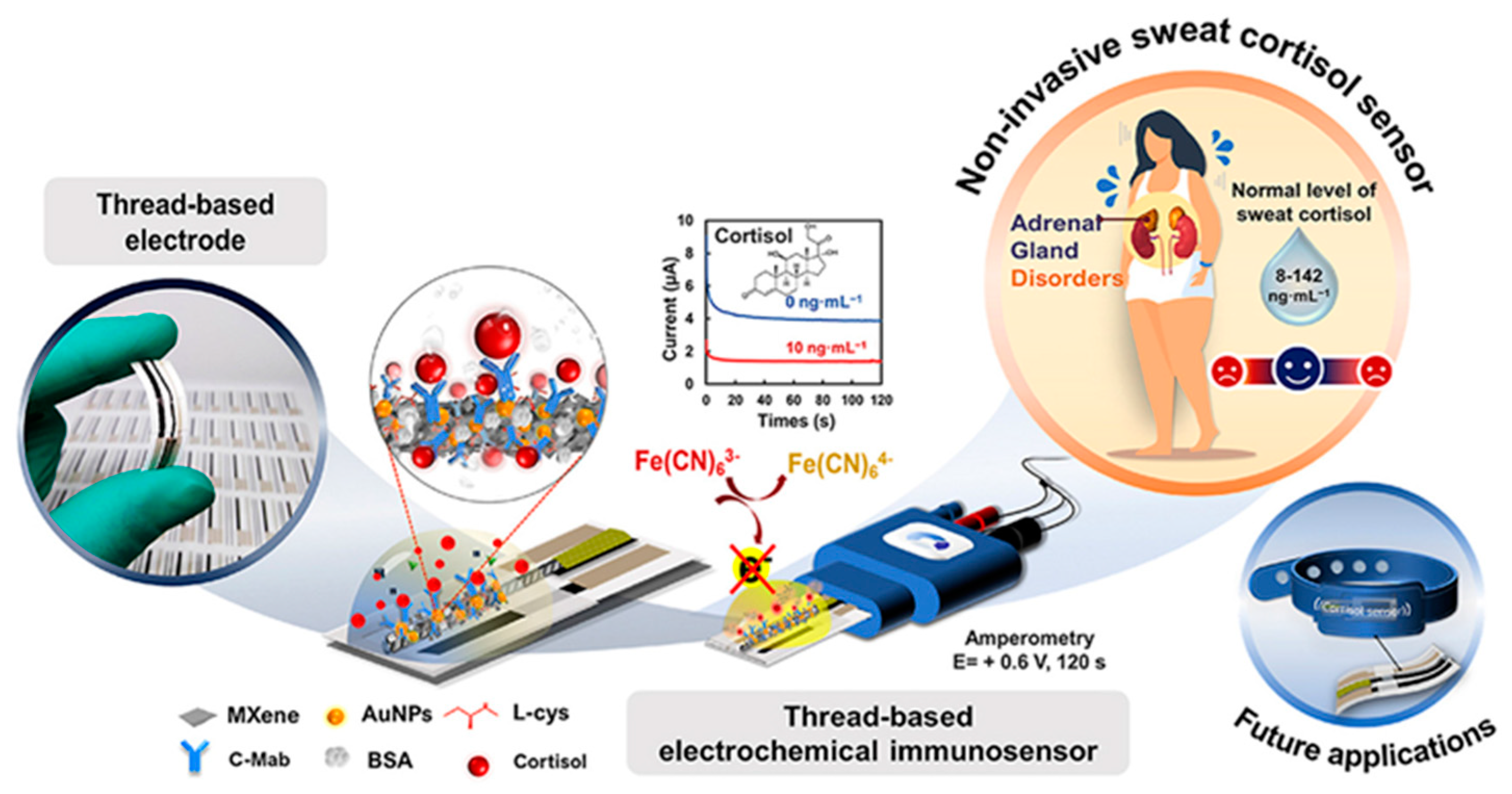 Molecules 29 00172 g011
