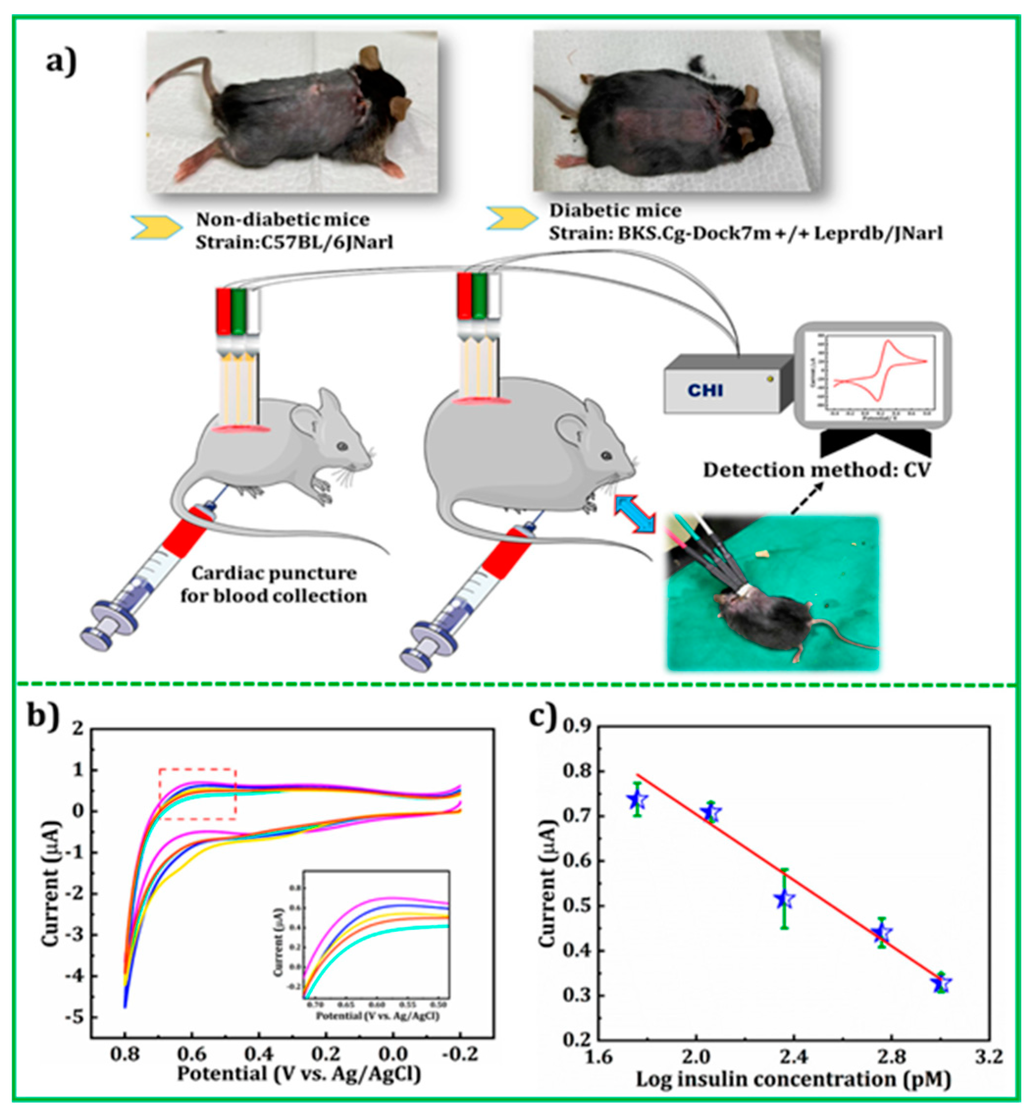 Molecules 29 00172 g013