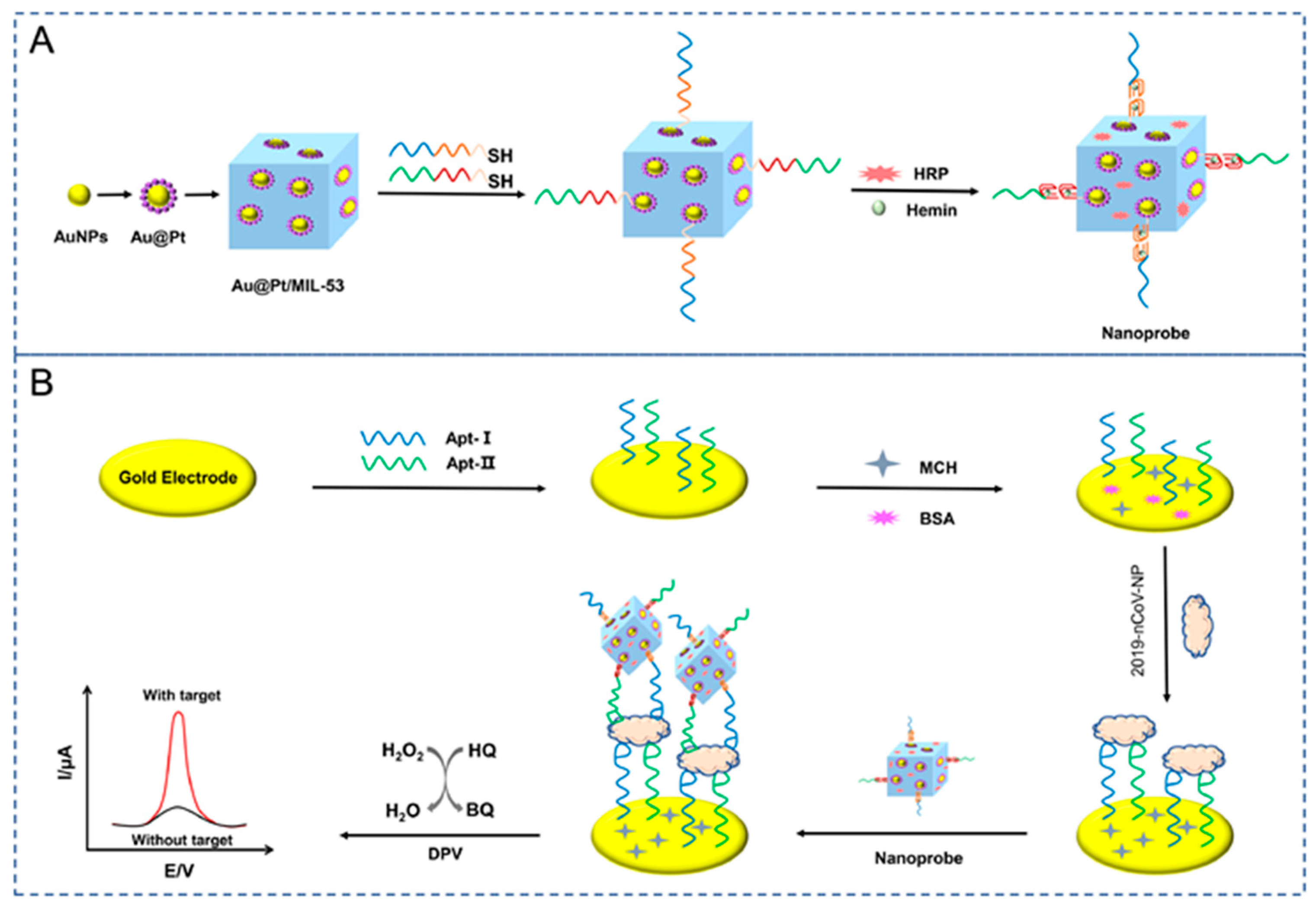 Molecules 29 00172 g015