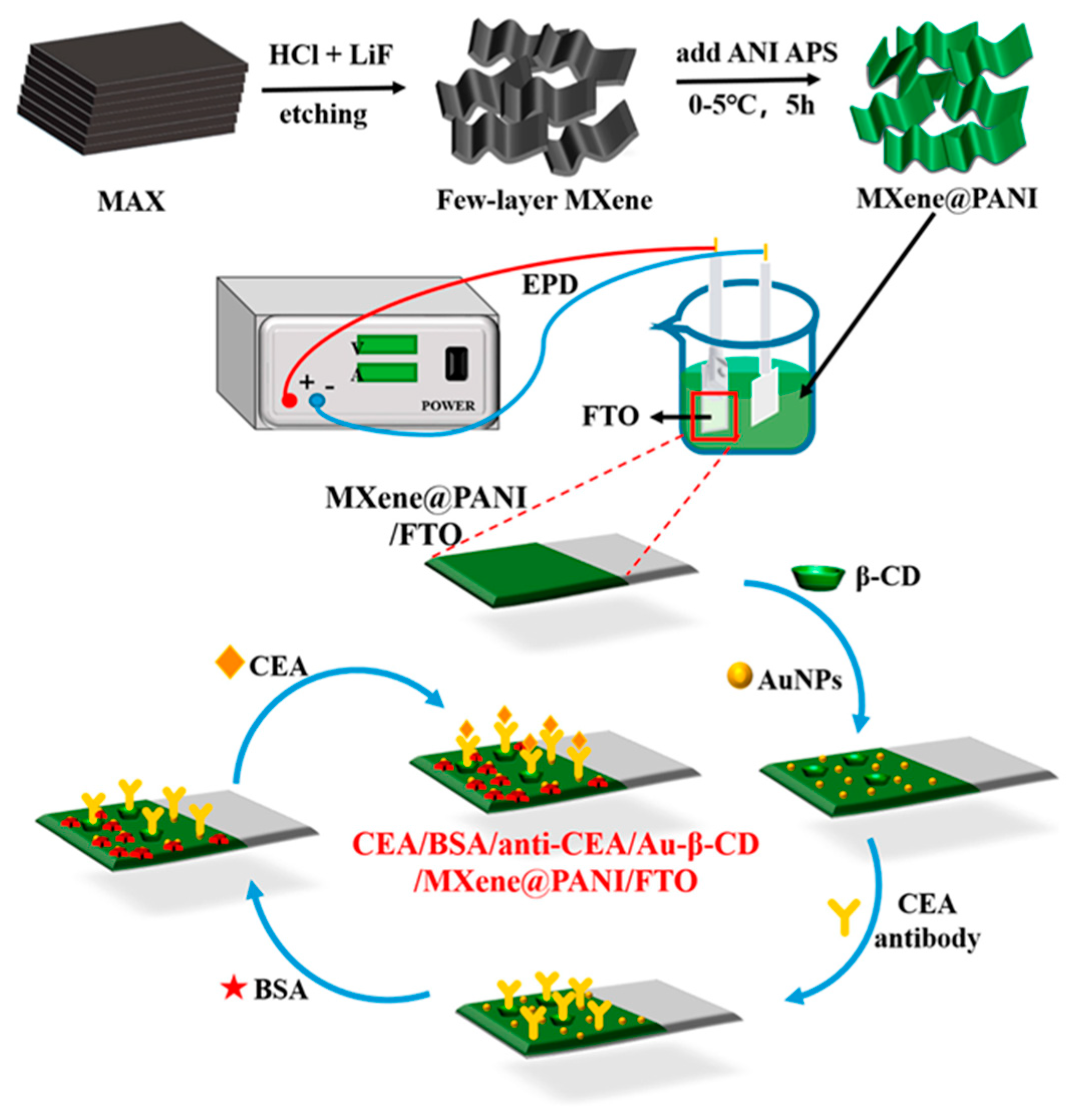 Molecules 29 00172 g016