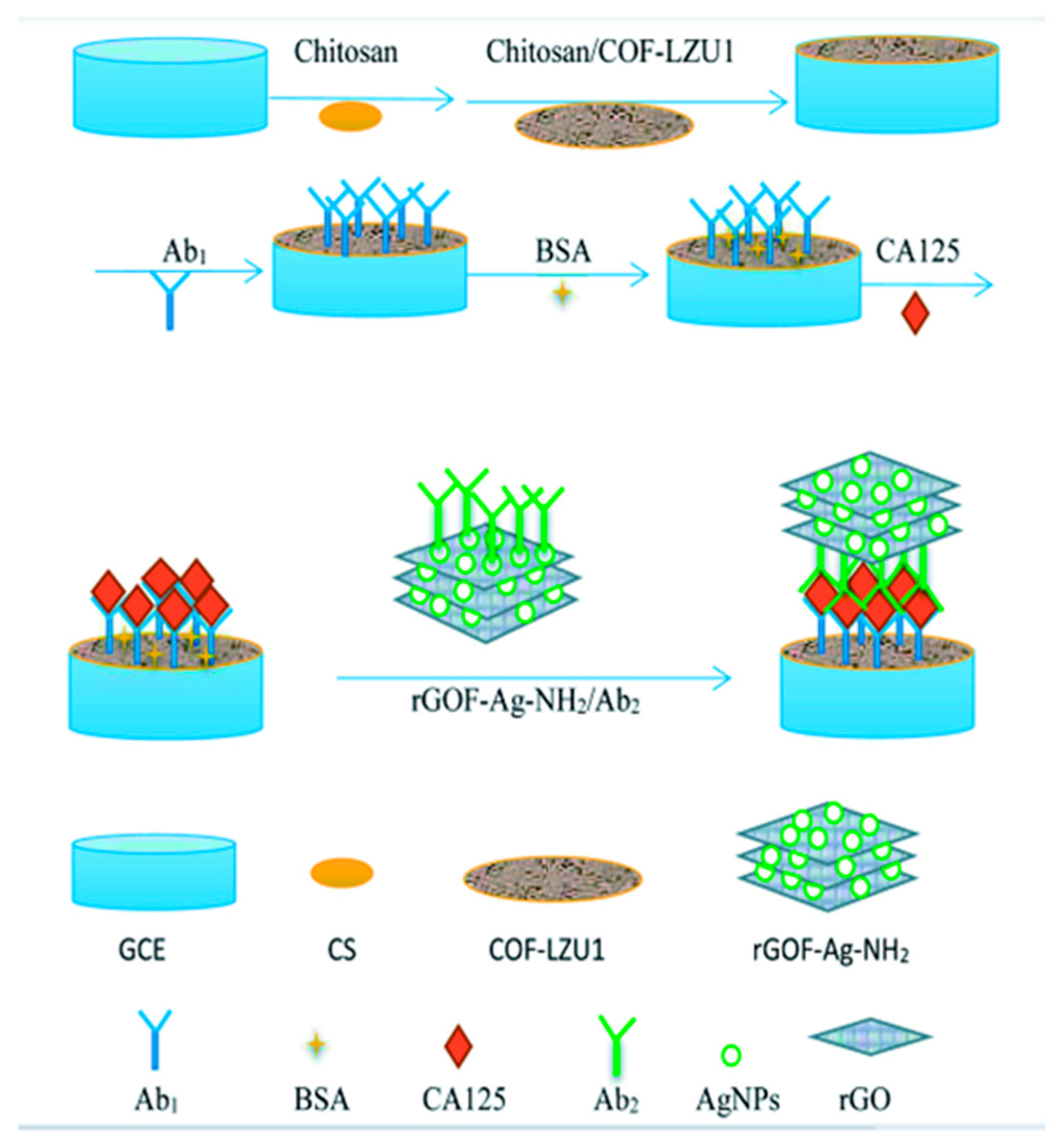Molecules 29 00172 g017