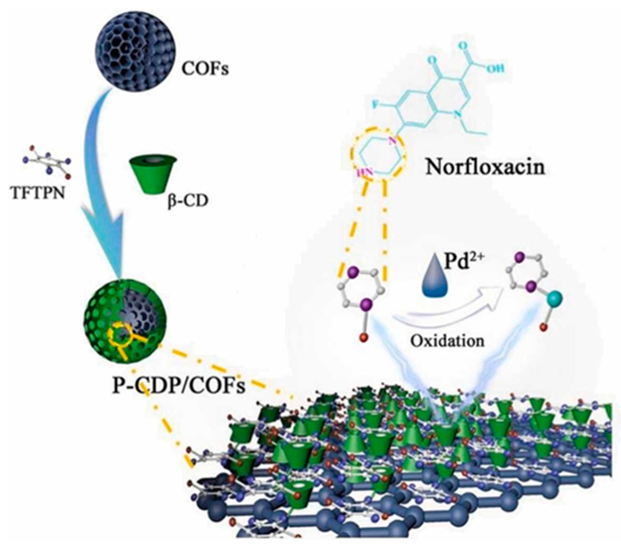 Molecules 29 00172 g018