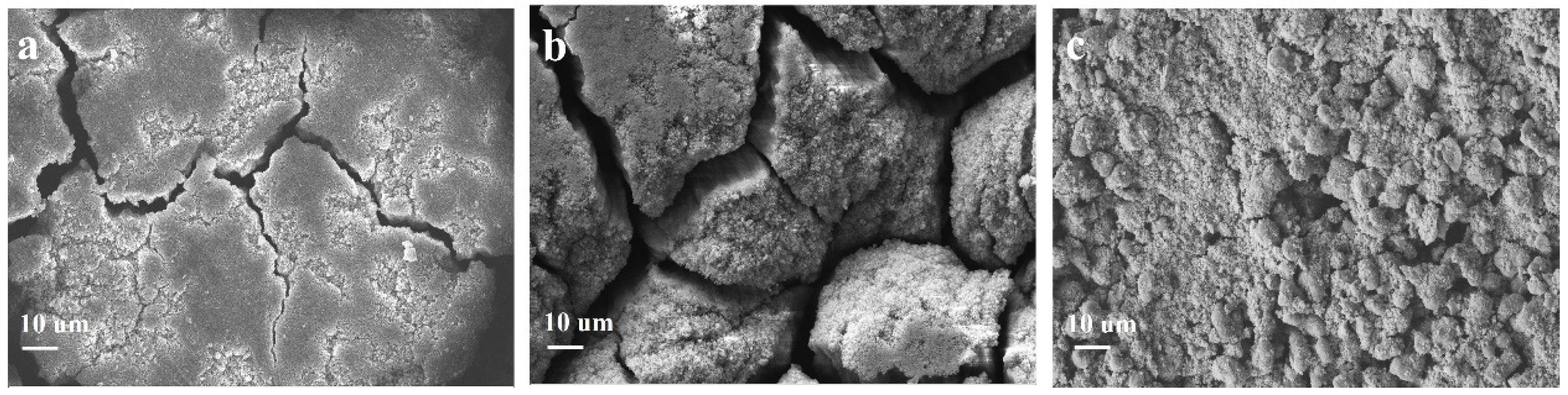 Molecules 29 00175 g006