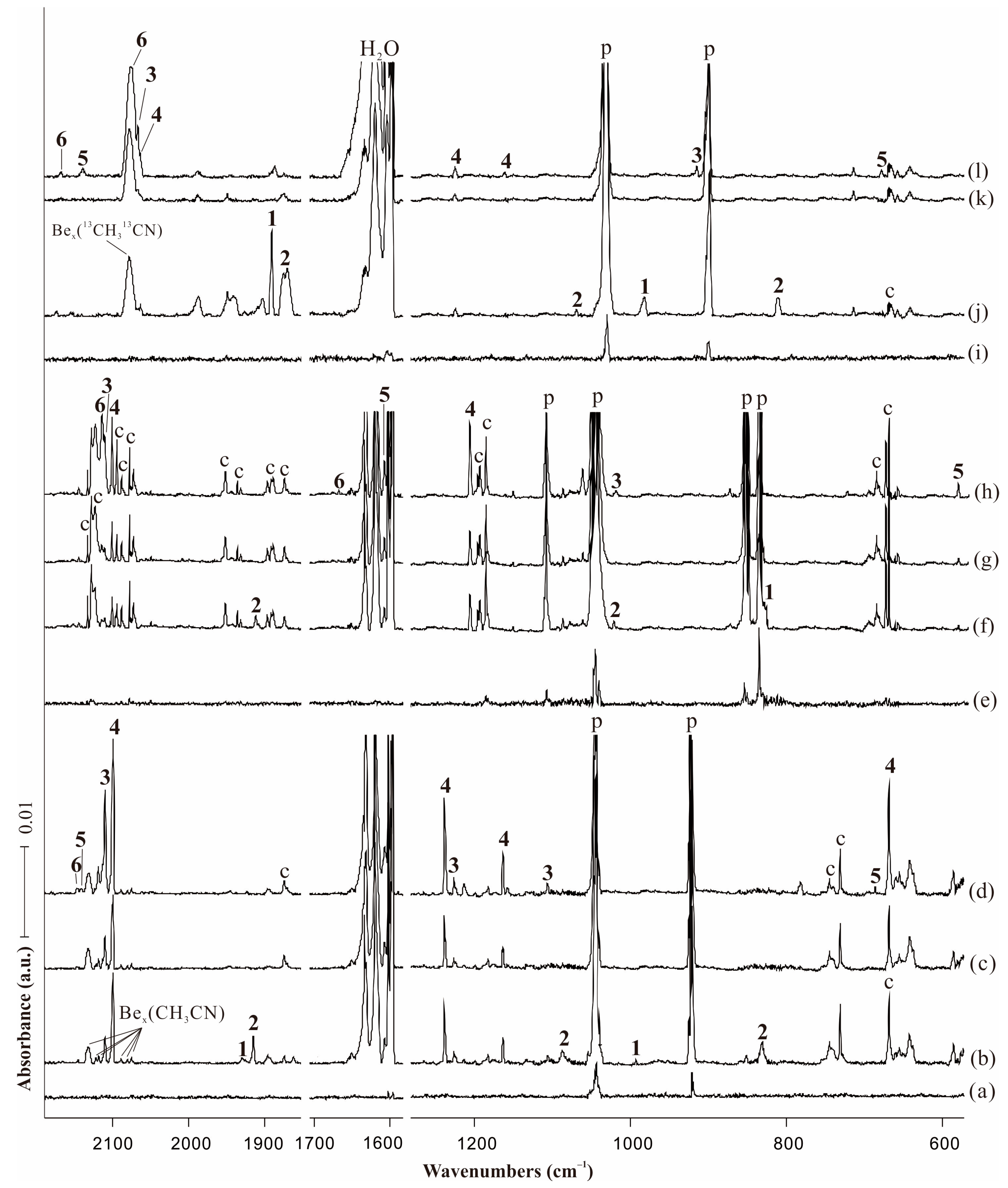 Molecules 29 00177 g002