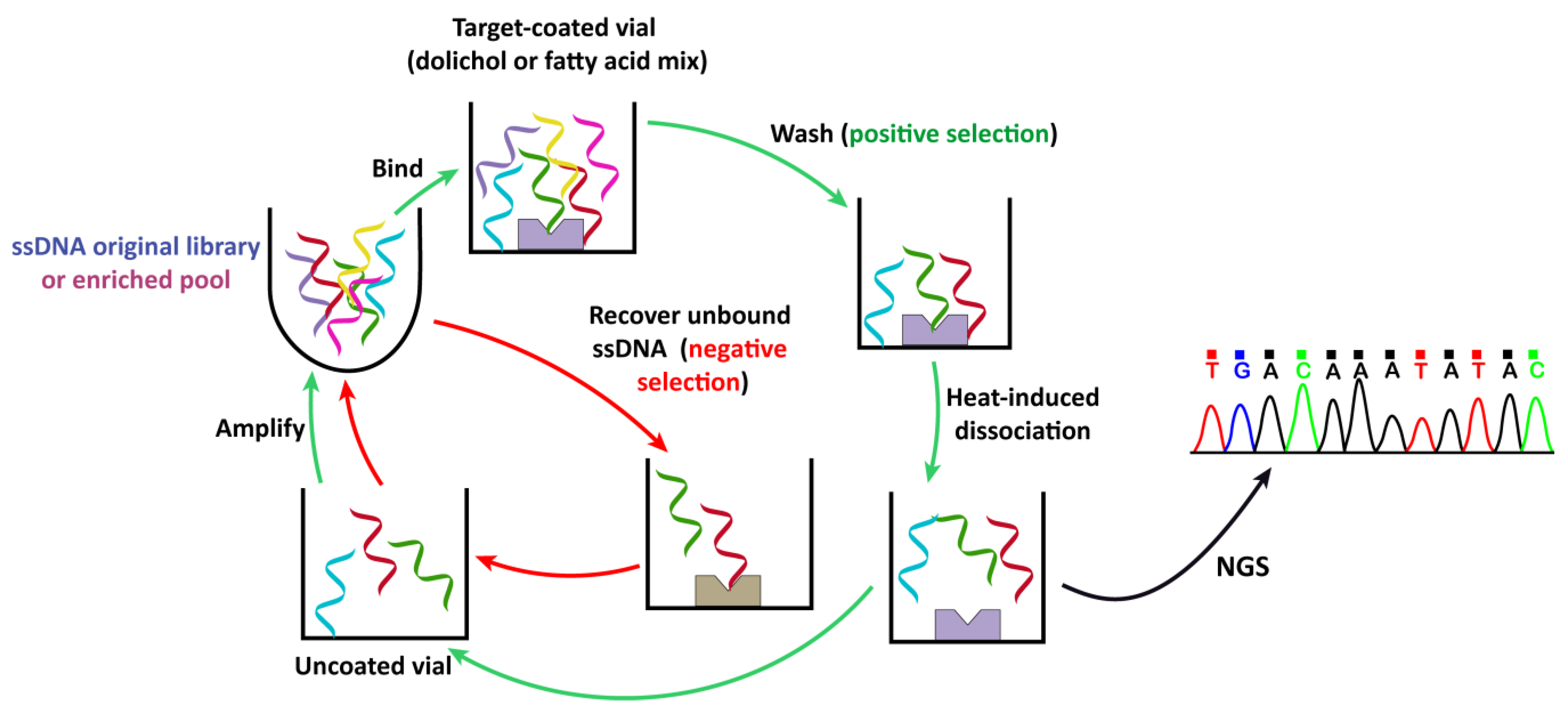 Molecules 29 00178 g001