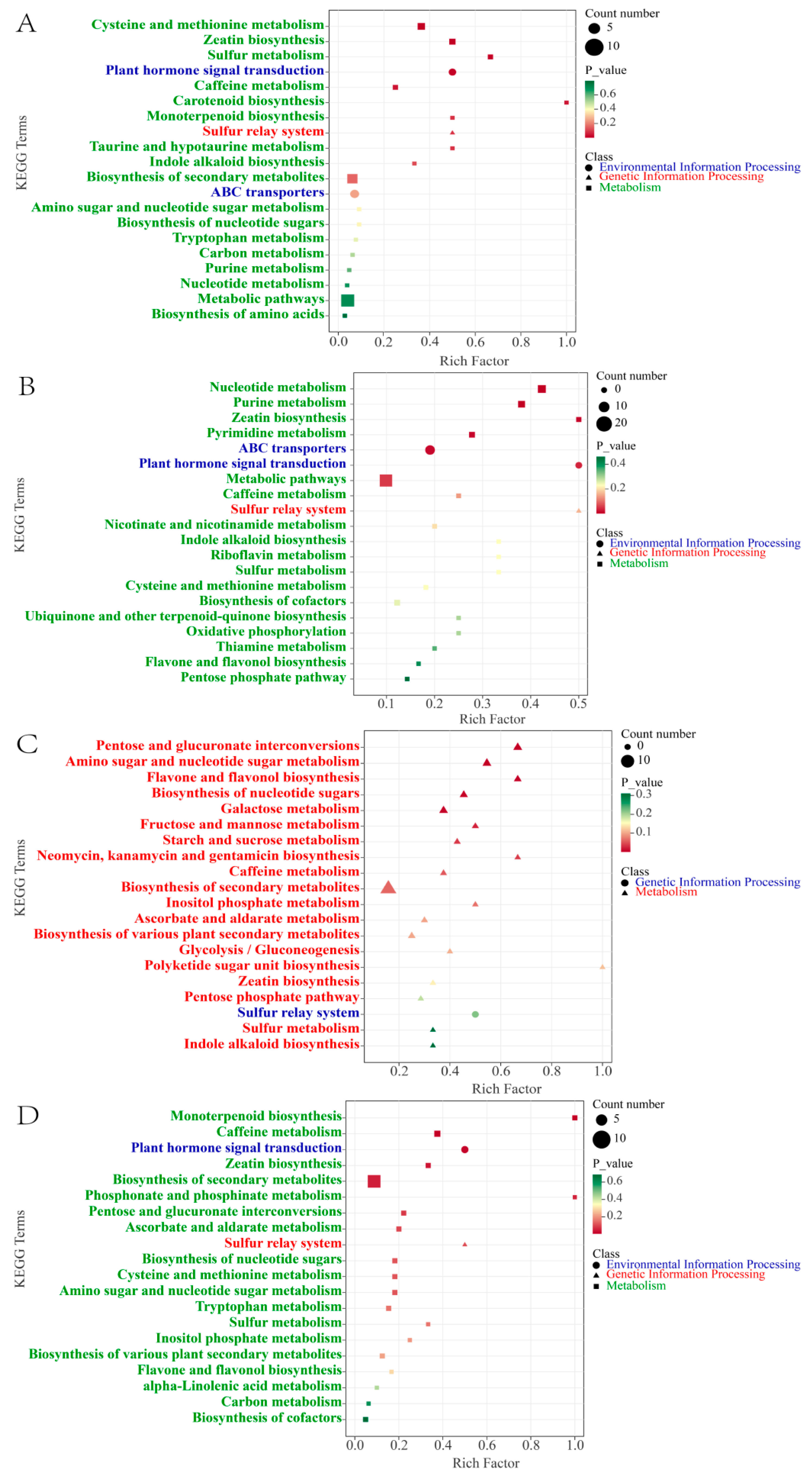Molecules 29 00180 g004