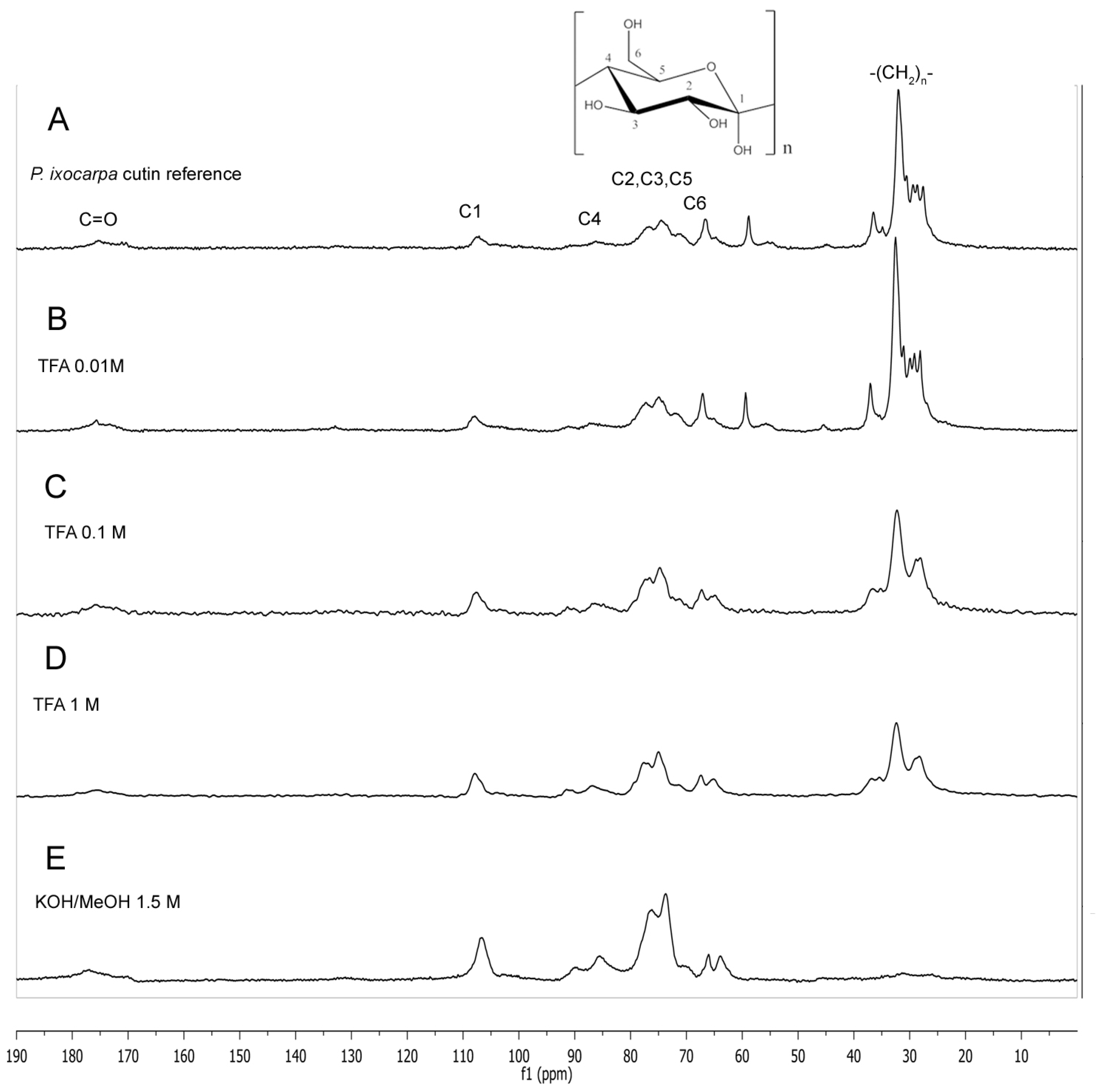 Molecules 29 00184 g002