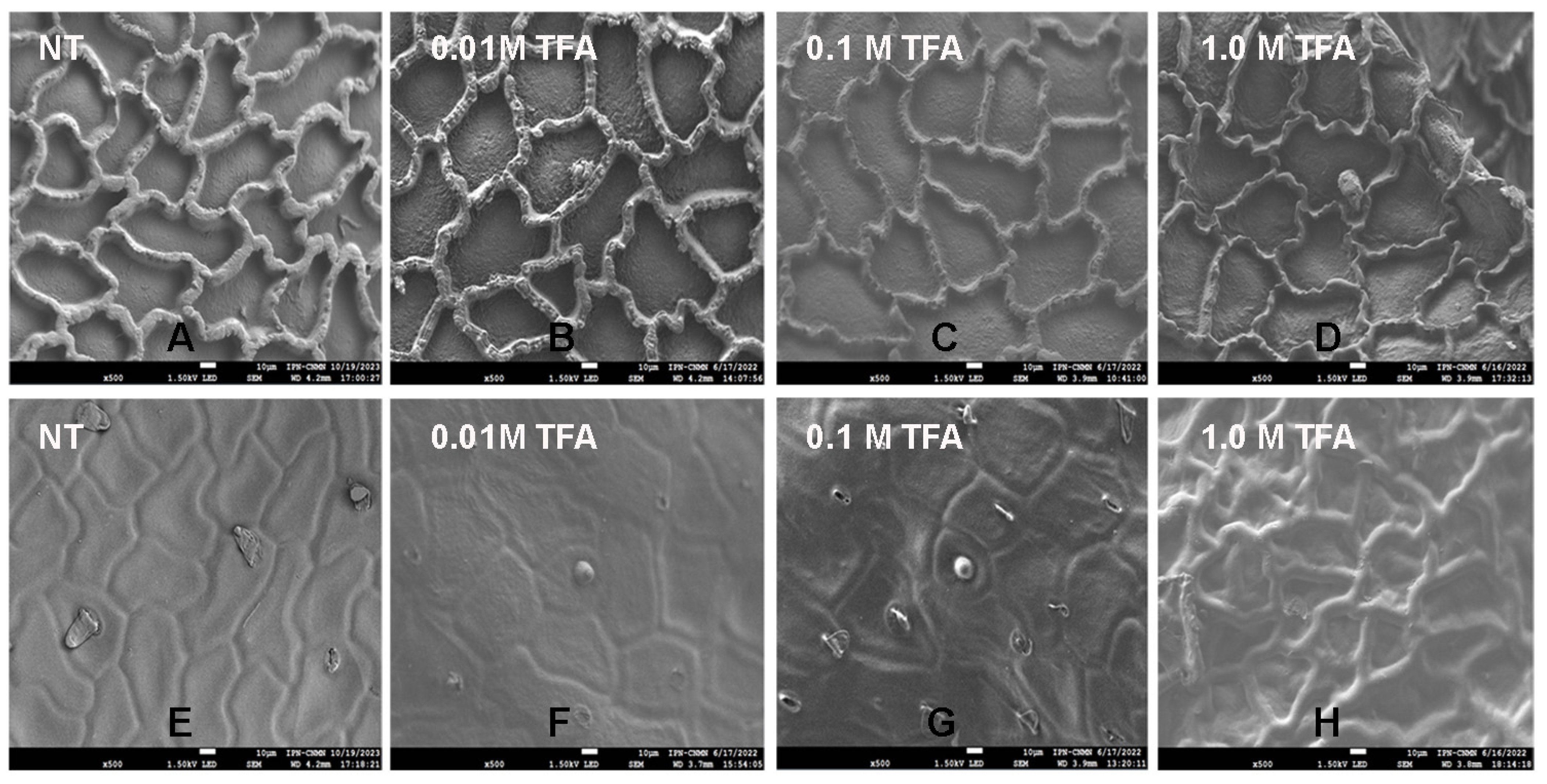 Molecules 29 00184 g006