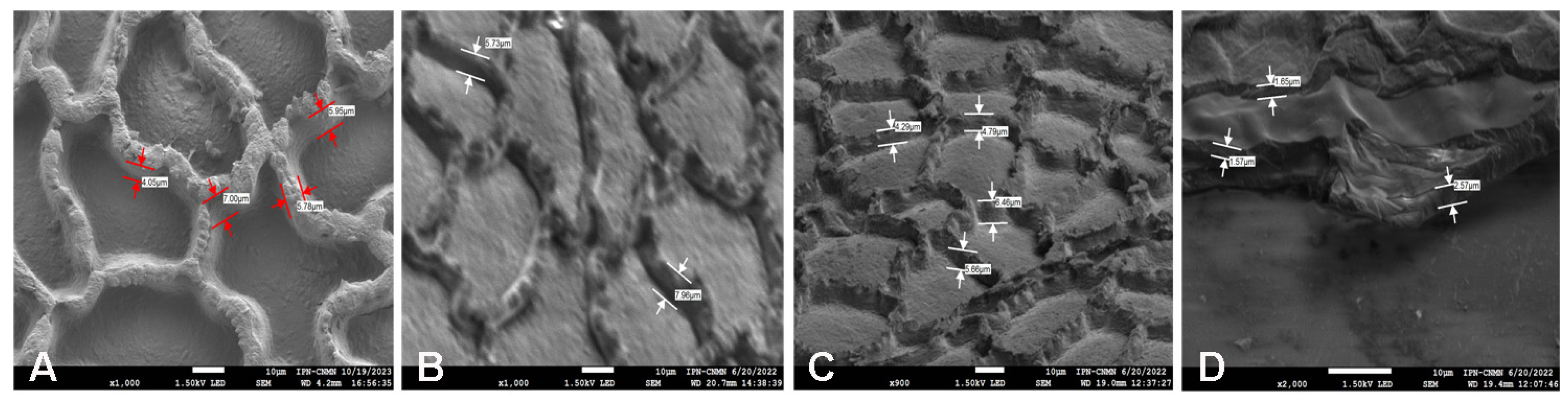 Molecules 29 00184 g007