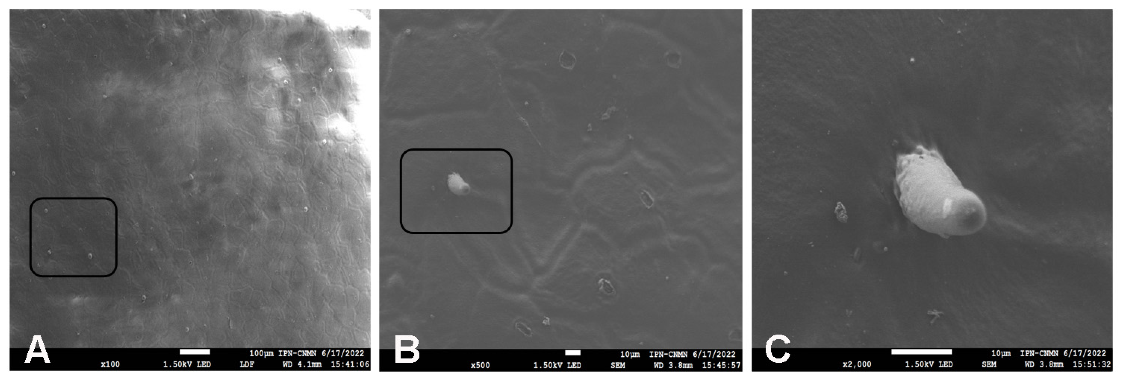 Molecules 29 00184 g008