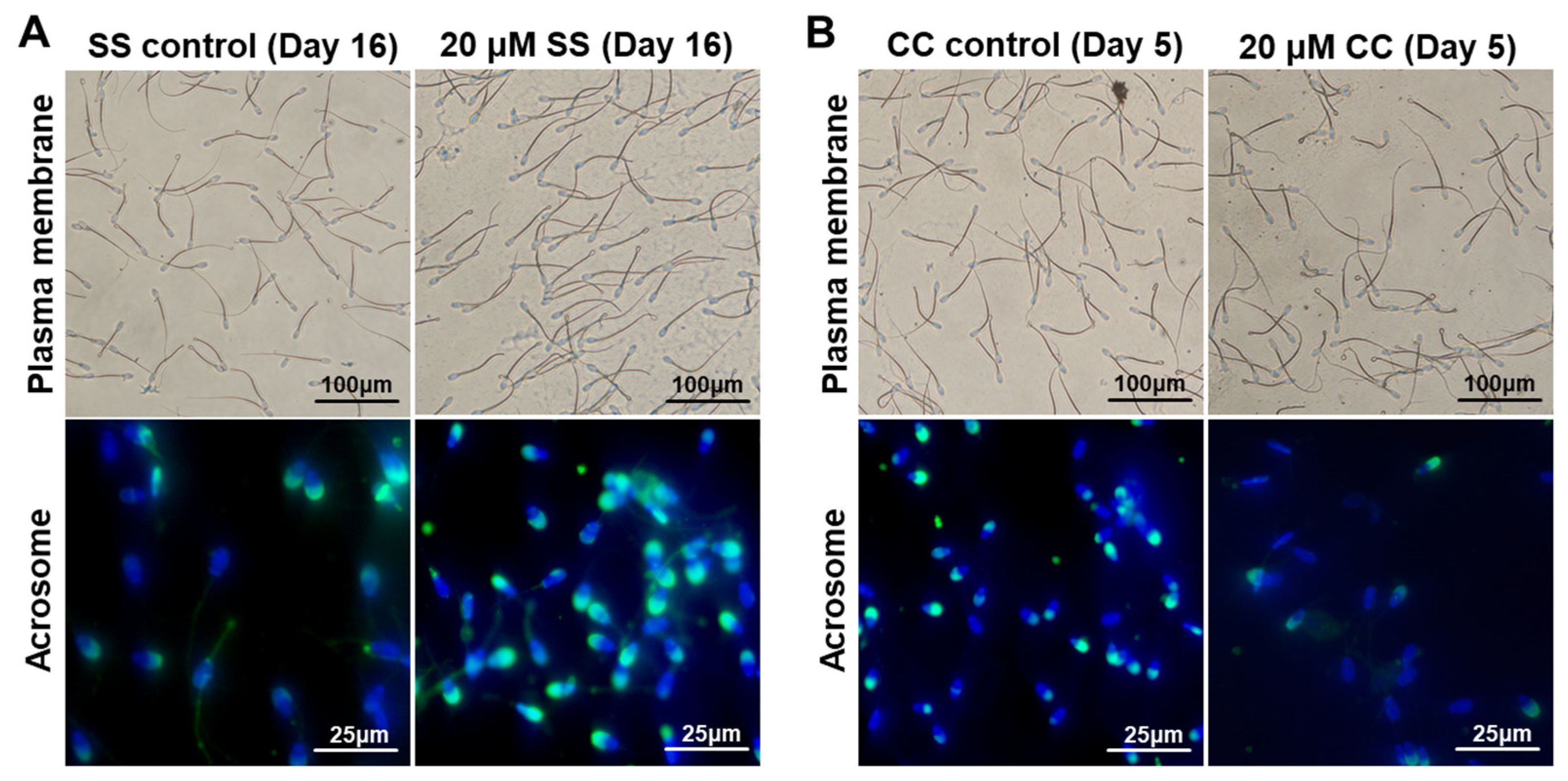 Molecules 29 00188 g001 Molecules 29 00188 g001