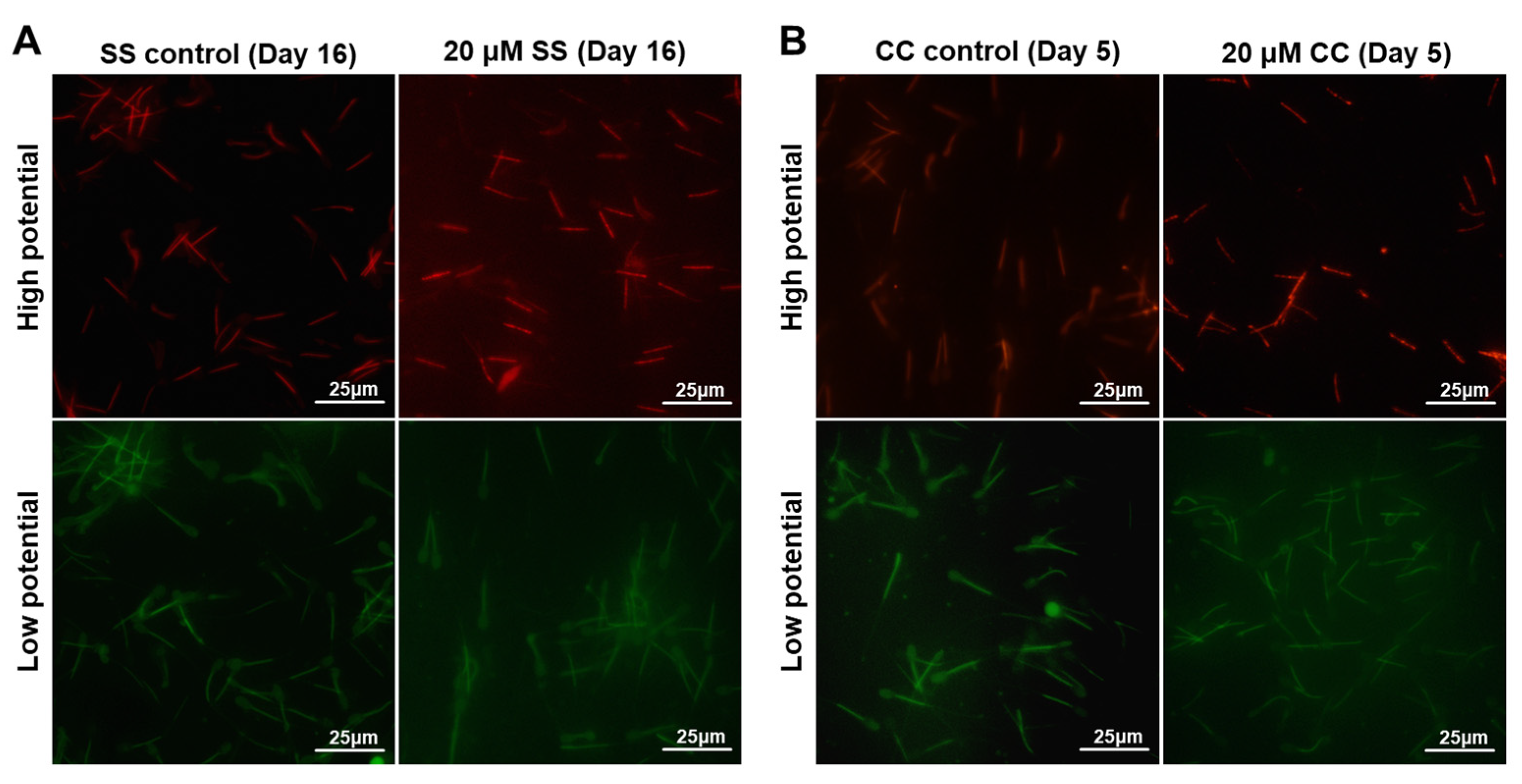 Molecules 29 00188 g004 Molecules 29 00188 g004