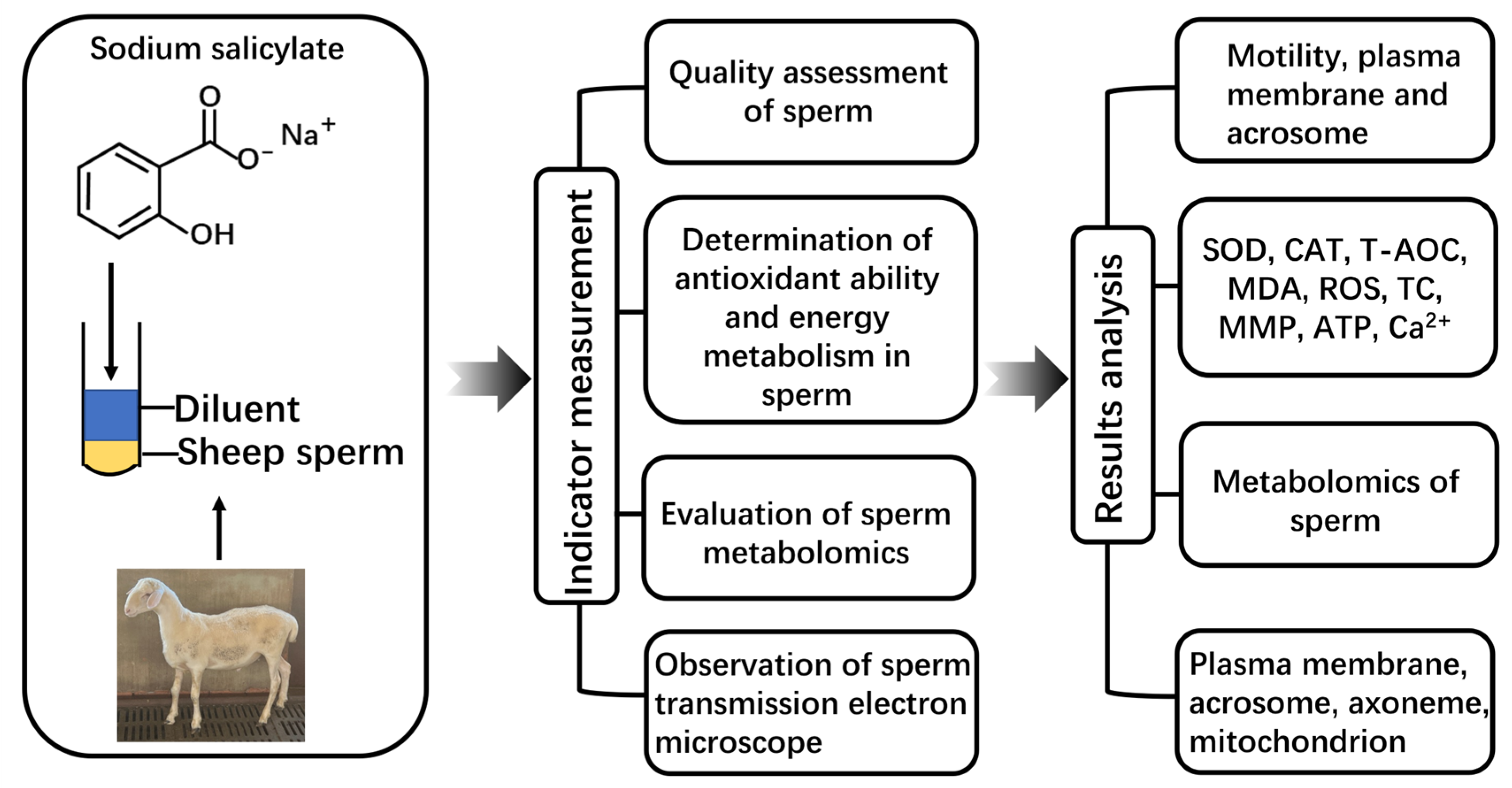 Molecules 29 00188 g008 Molecules 29 00188 g008