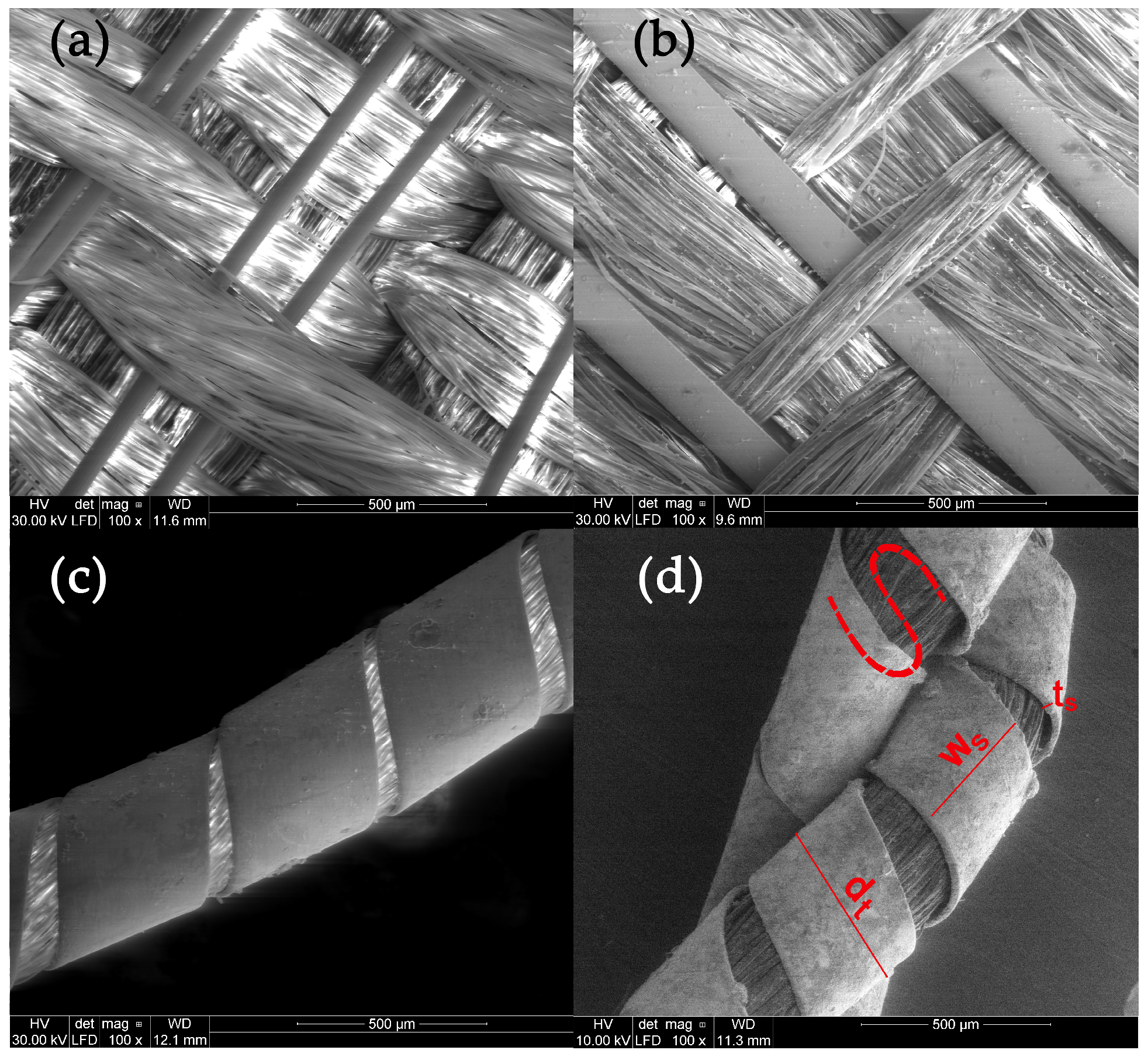 Molecules 29 00192 g002