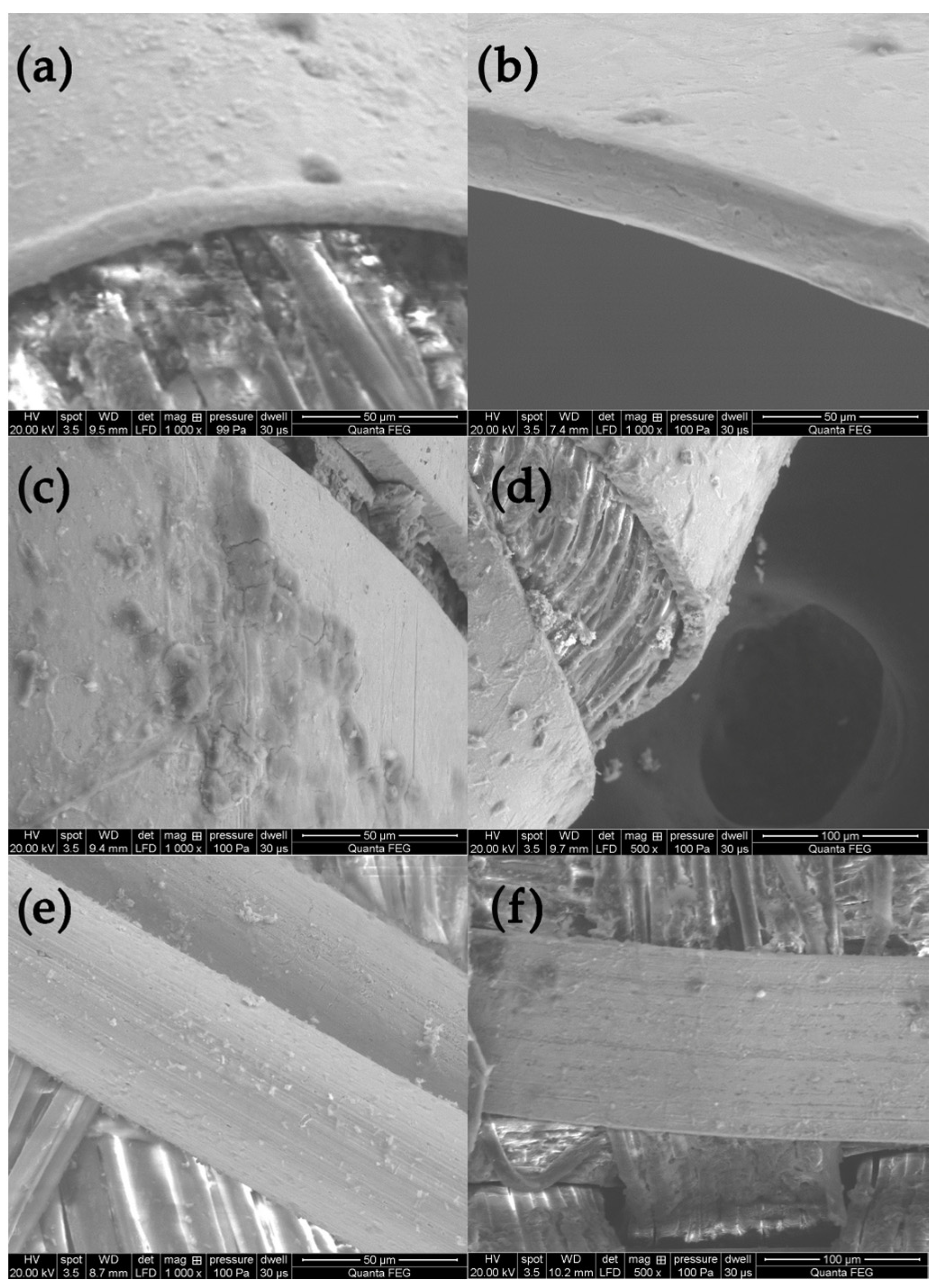 Molecules 29 00192 g003