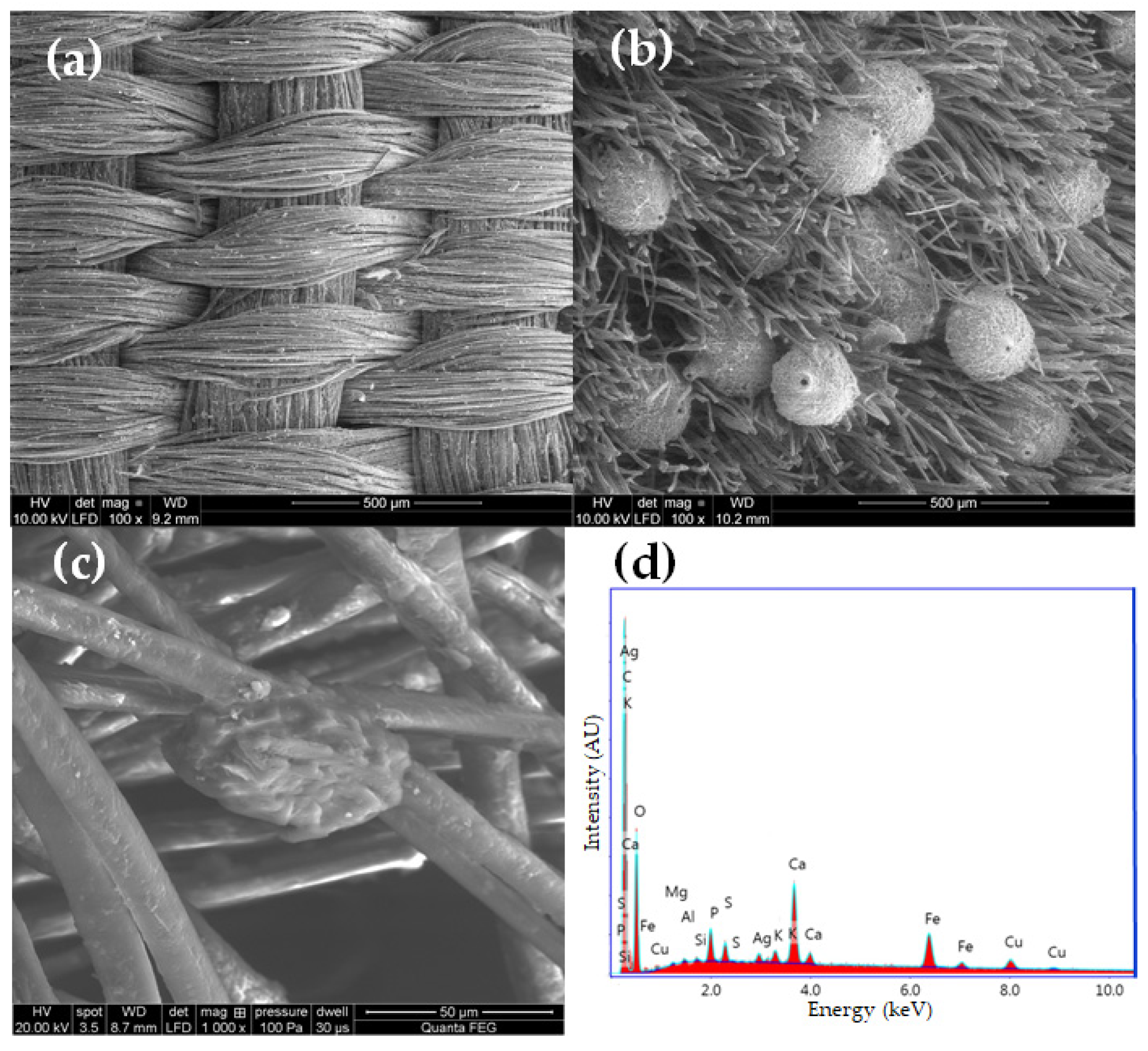Molecules 29 00192 g005