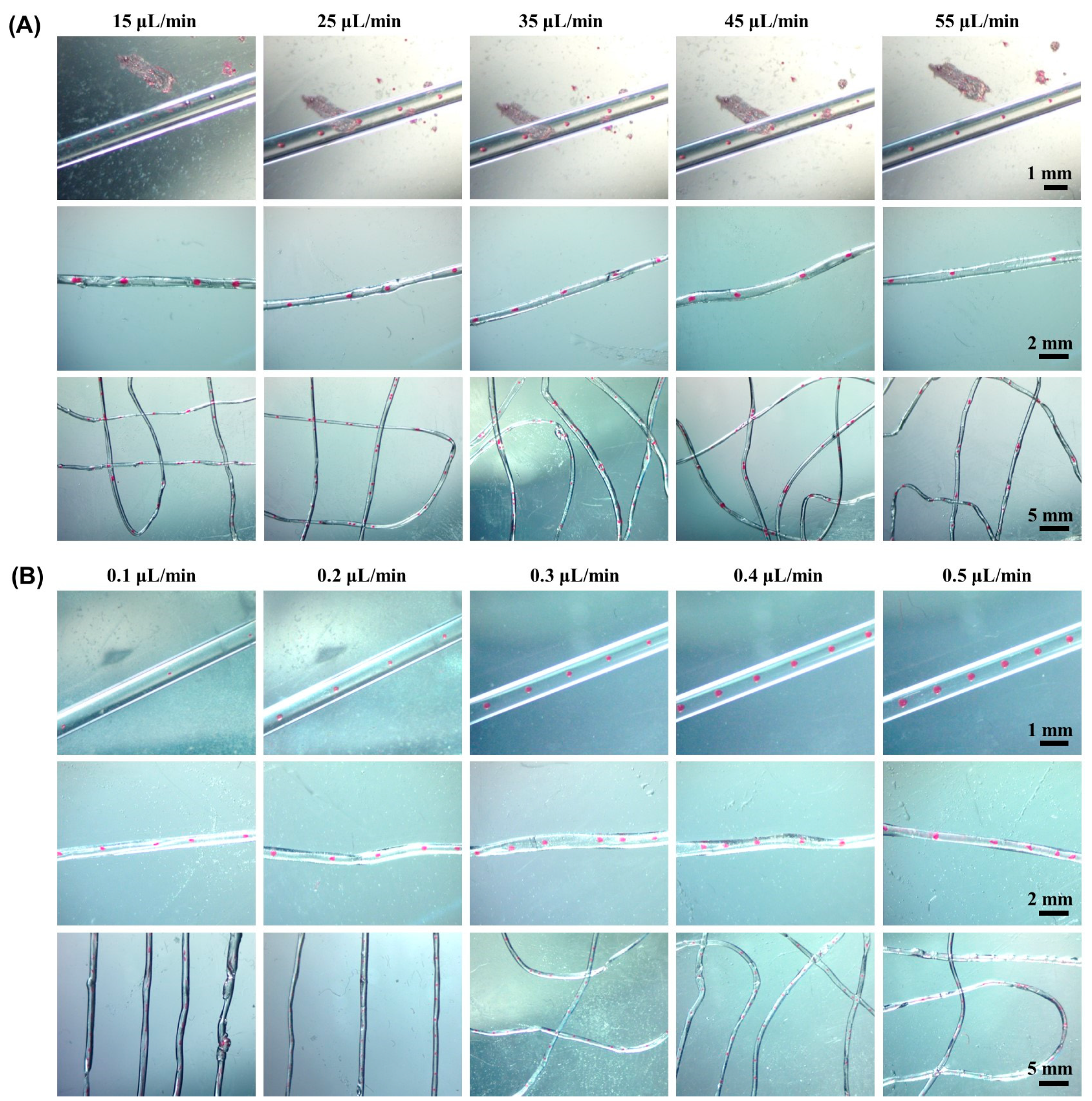 Molecules 29 00193 g002