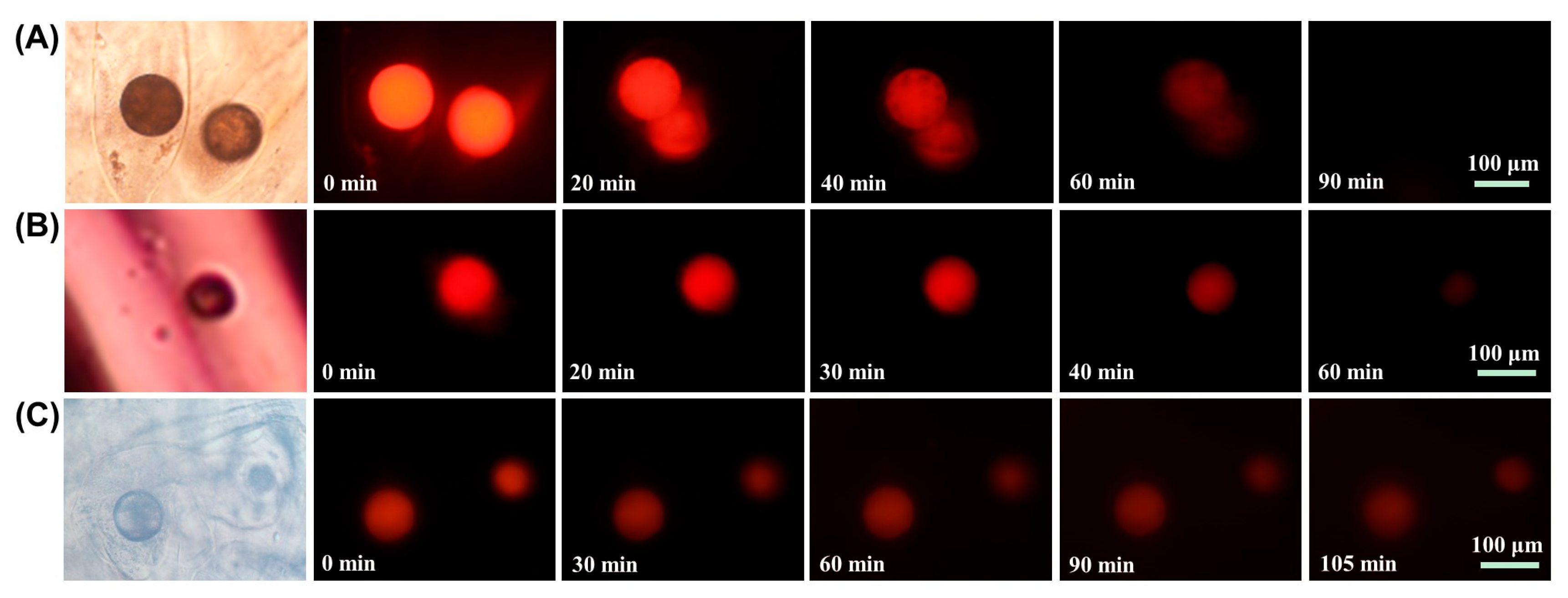 Molecules 29 00193 g007