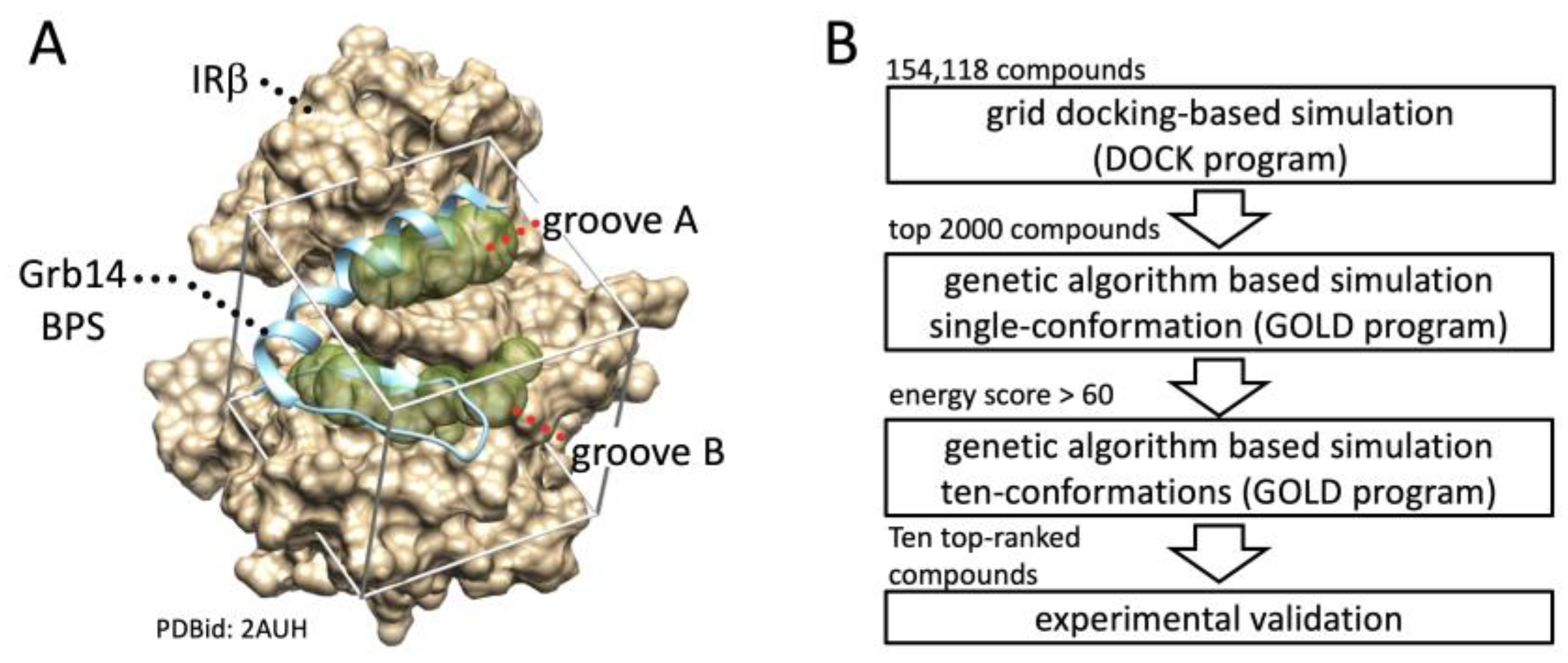 Molecules 29 00198 g001
