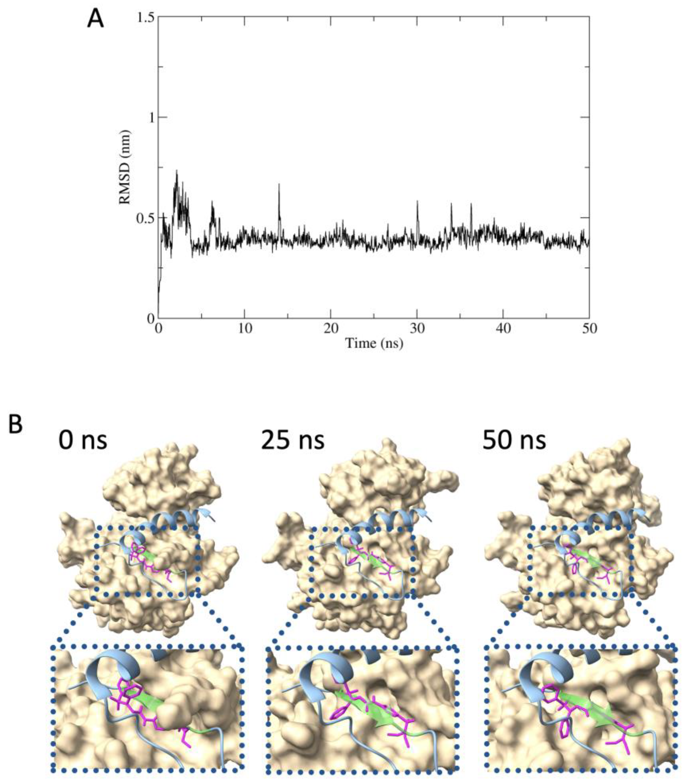 Molecules 29 00198 g005
