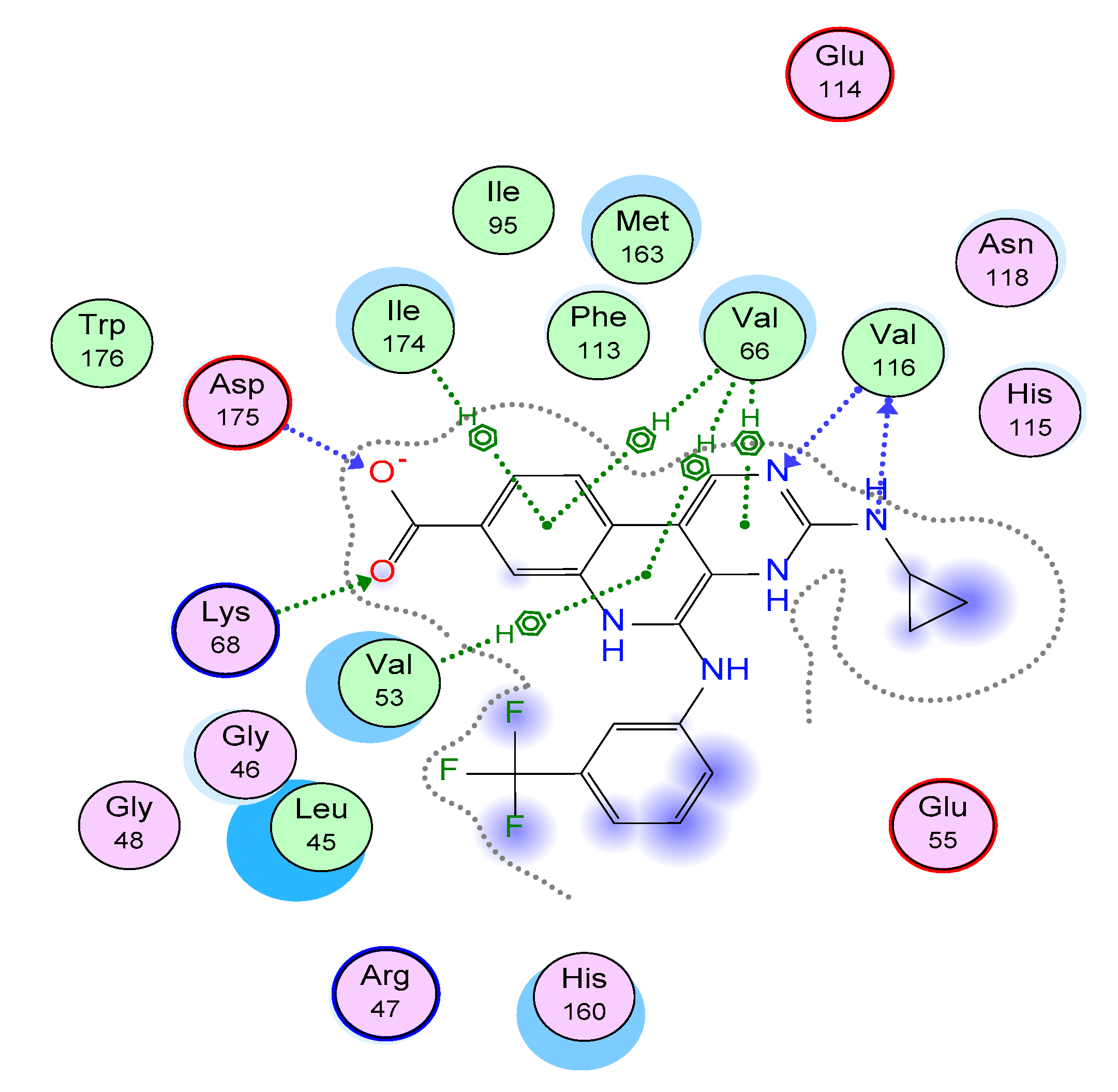 Molecules 29 00199 g003a