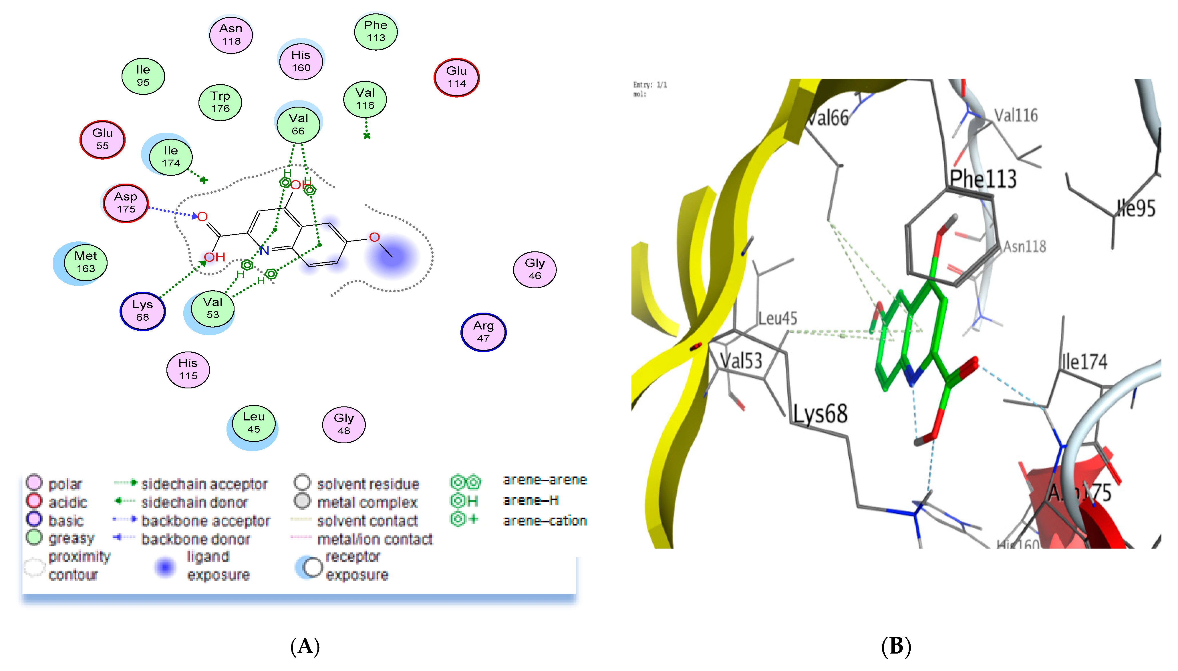 Molecules 29 00199 g004