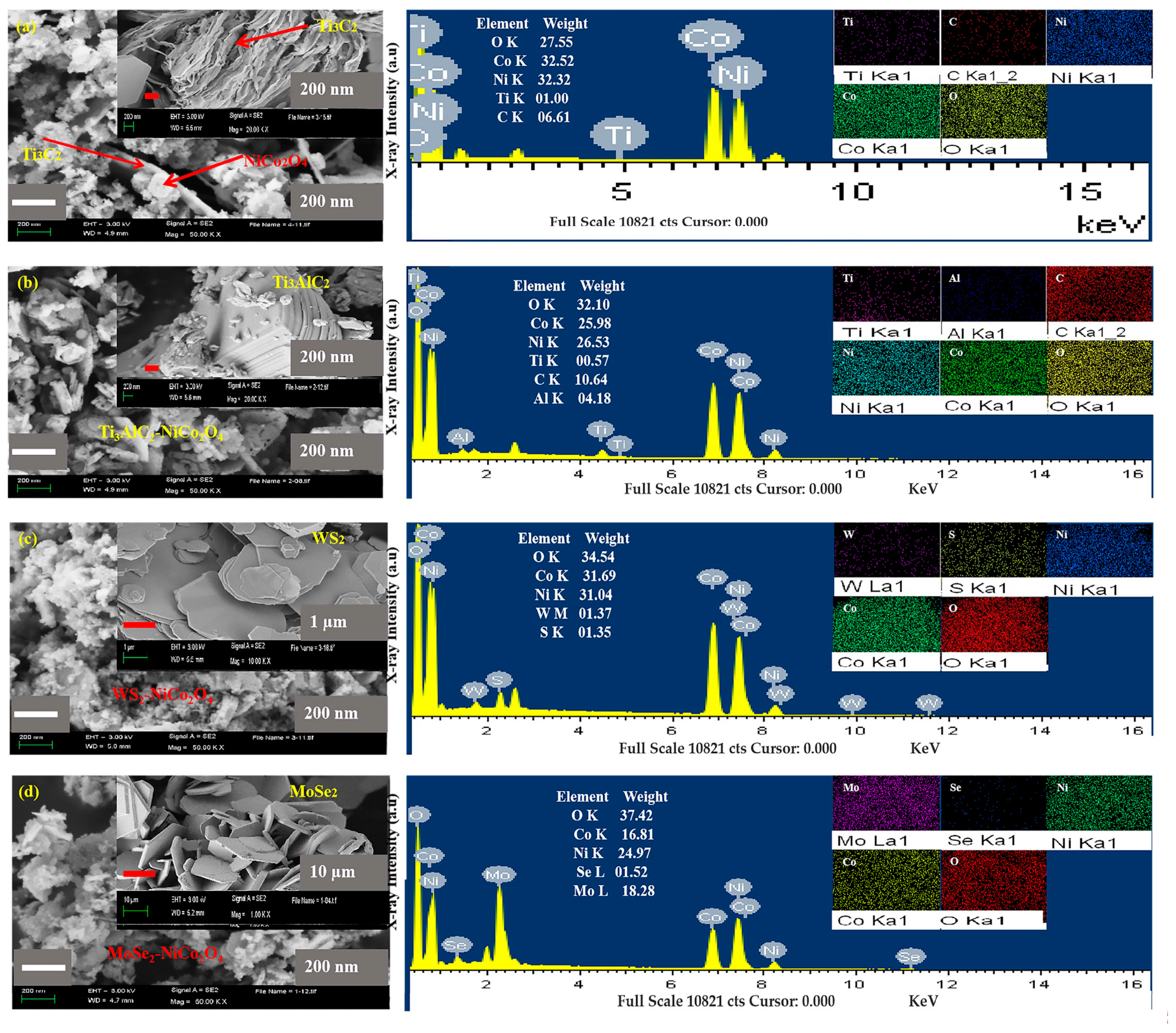 Molecules 29 00202 g002