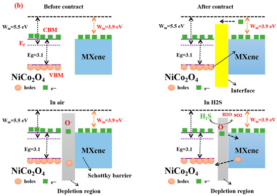 H2S/Butane Dual Gas Sensing Based on a Hydrothermally Synthesized MXene ...