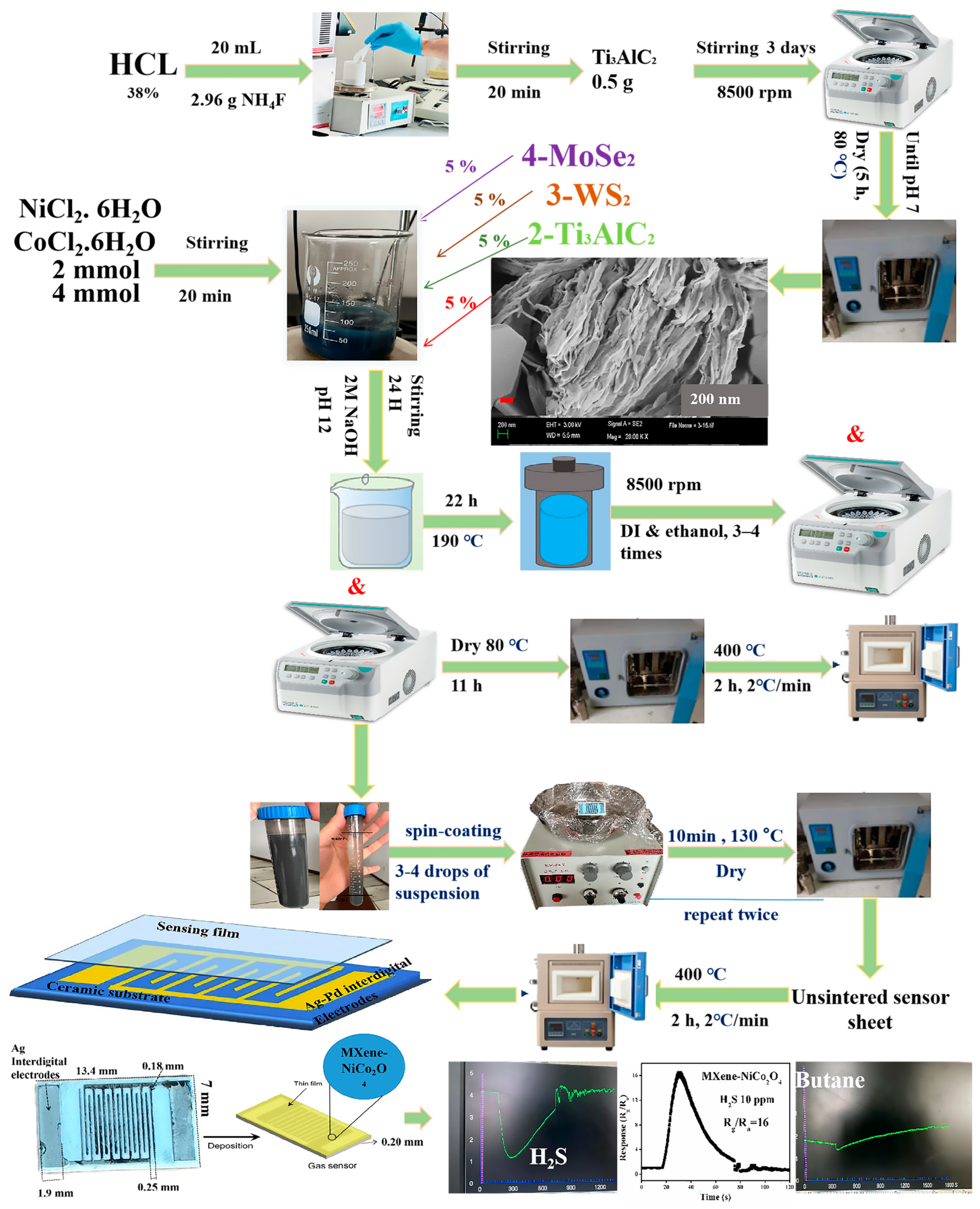Molecules 29 00202 g014