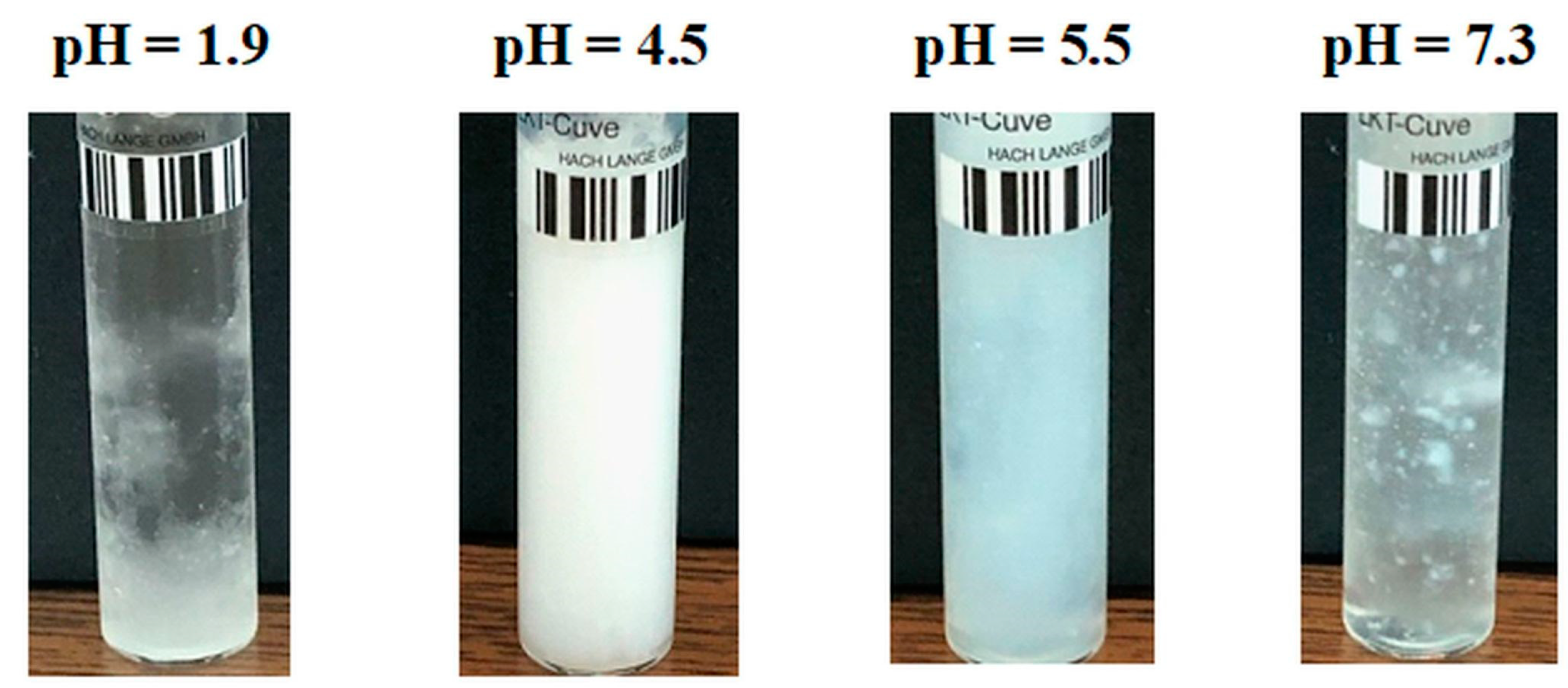 Molecules 29 00208 g004