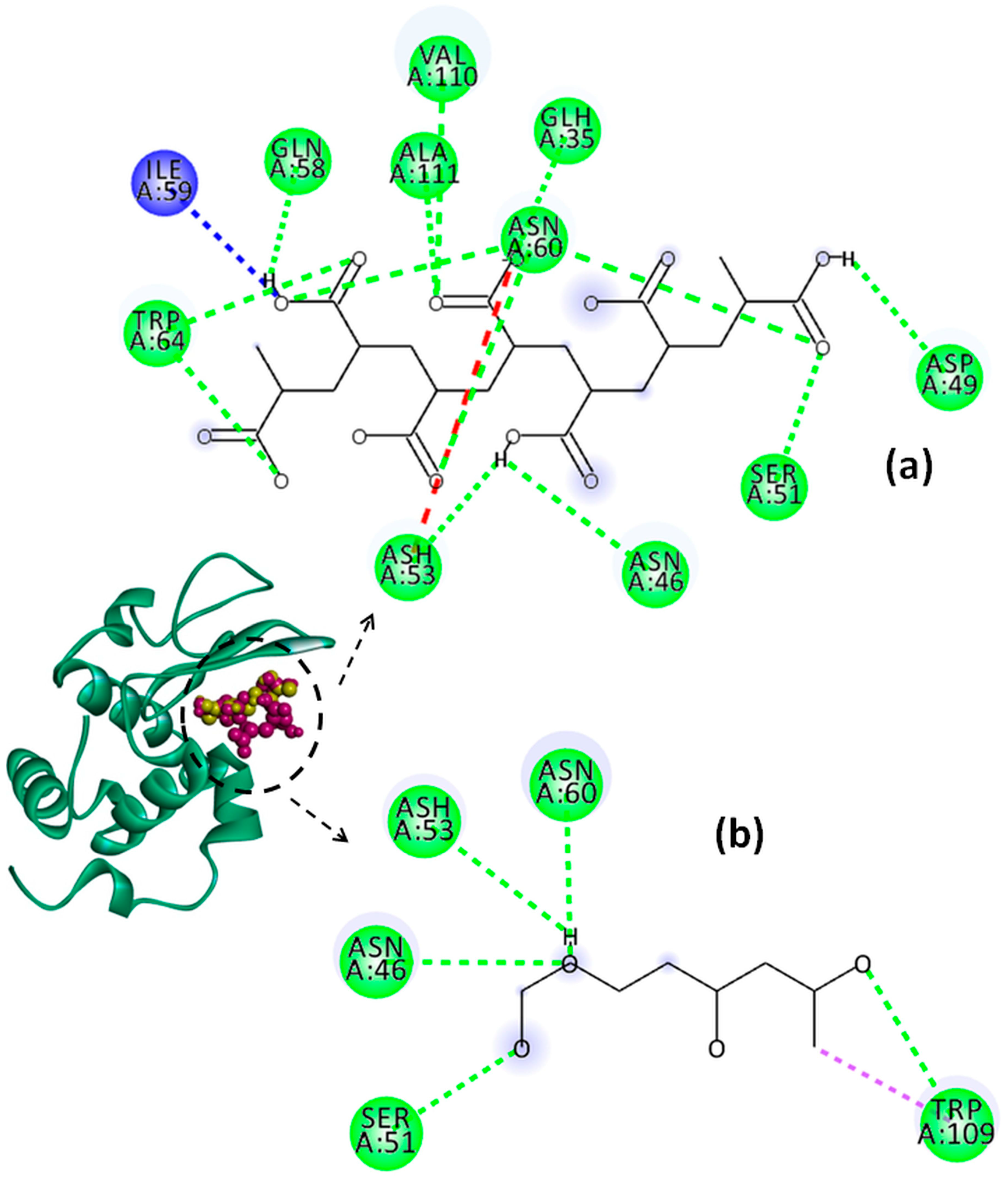 Molecules 29 00208 g011