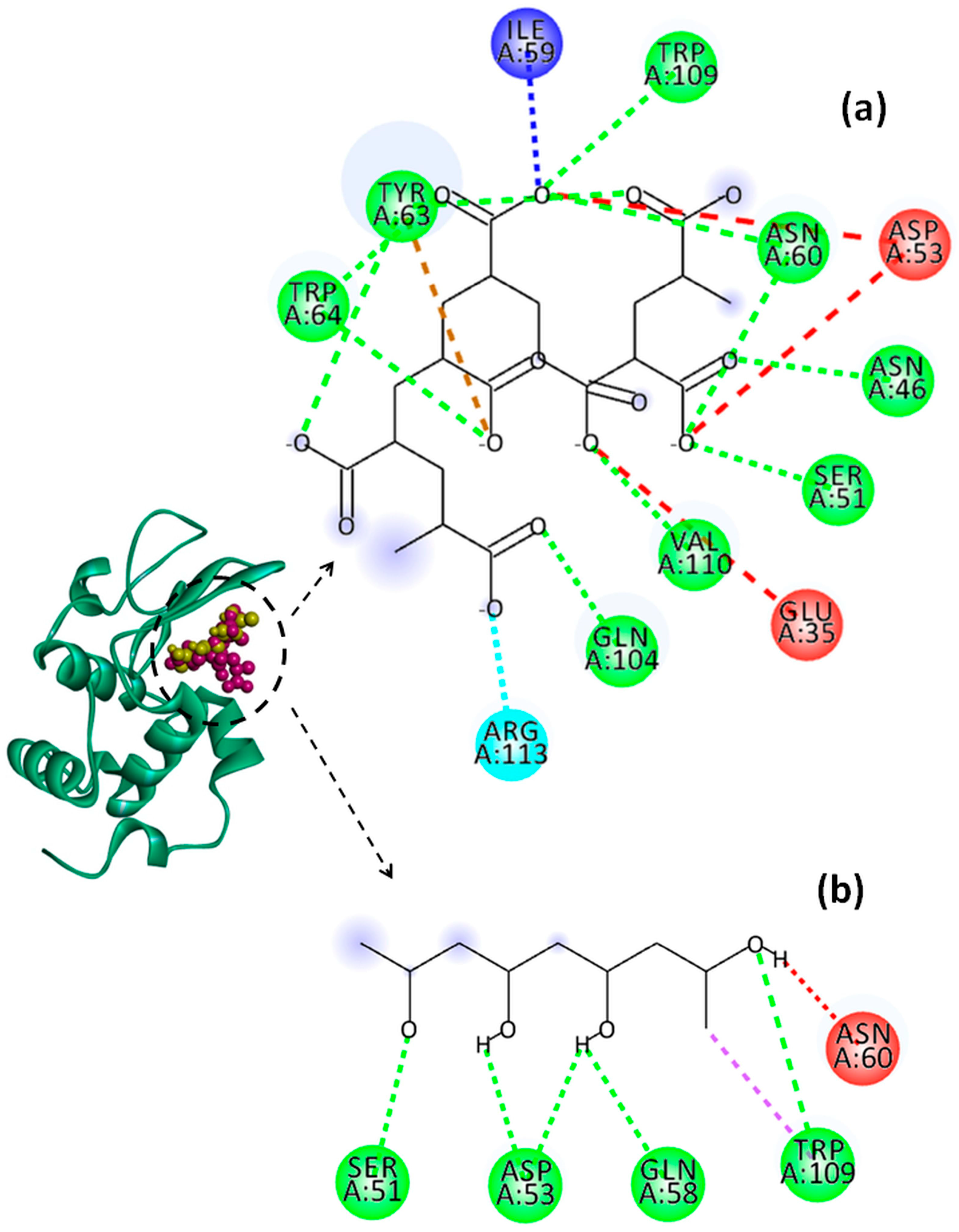 Molecules 29 00208 g012