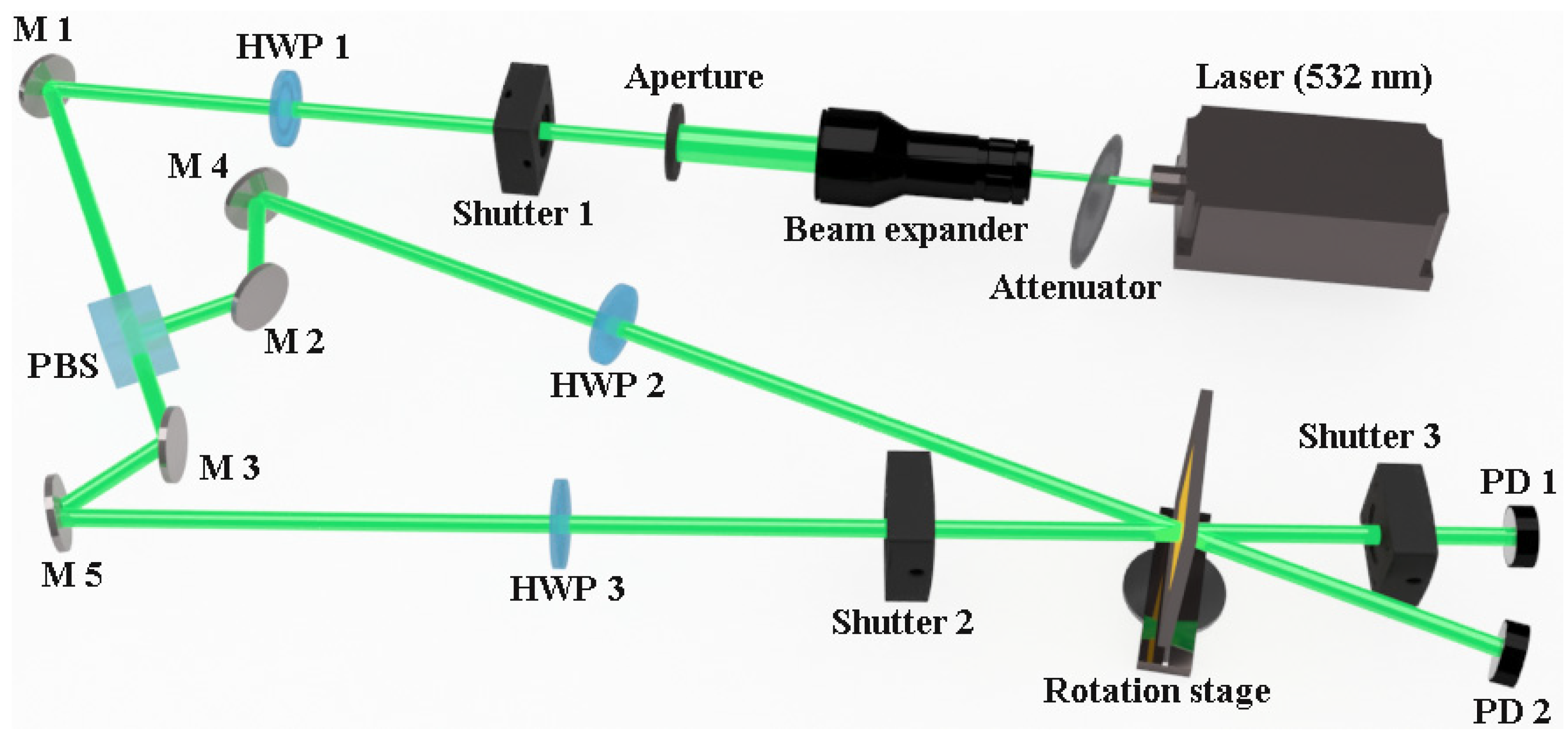 Molecules 29 00214 g002