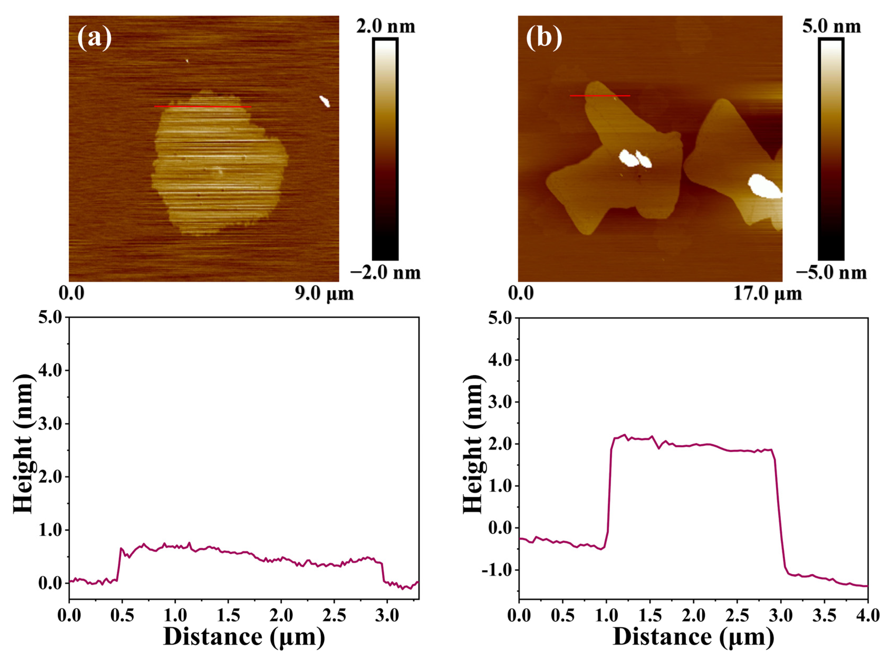 Molecules 29 00214 g012