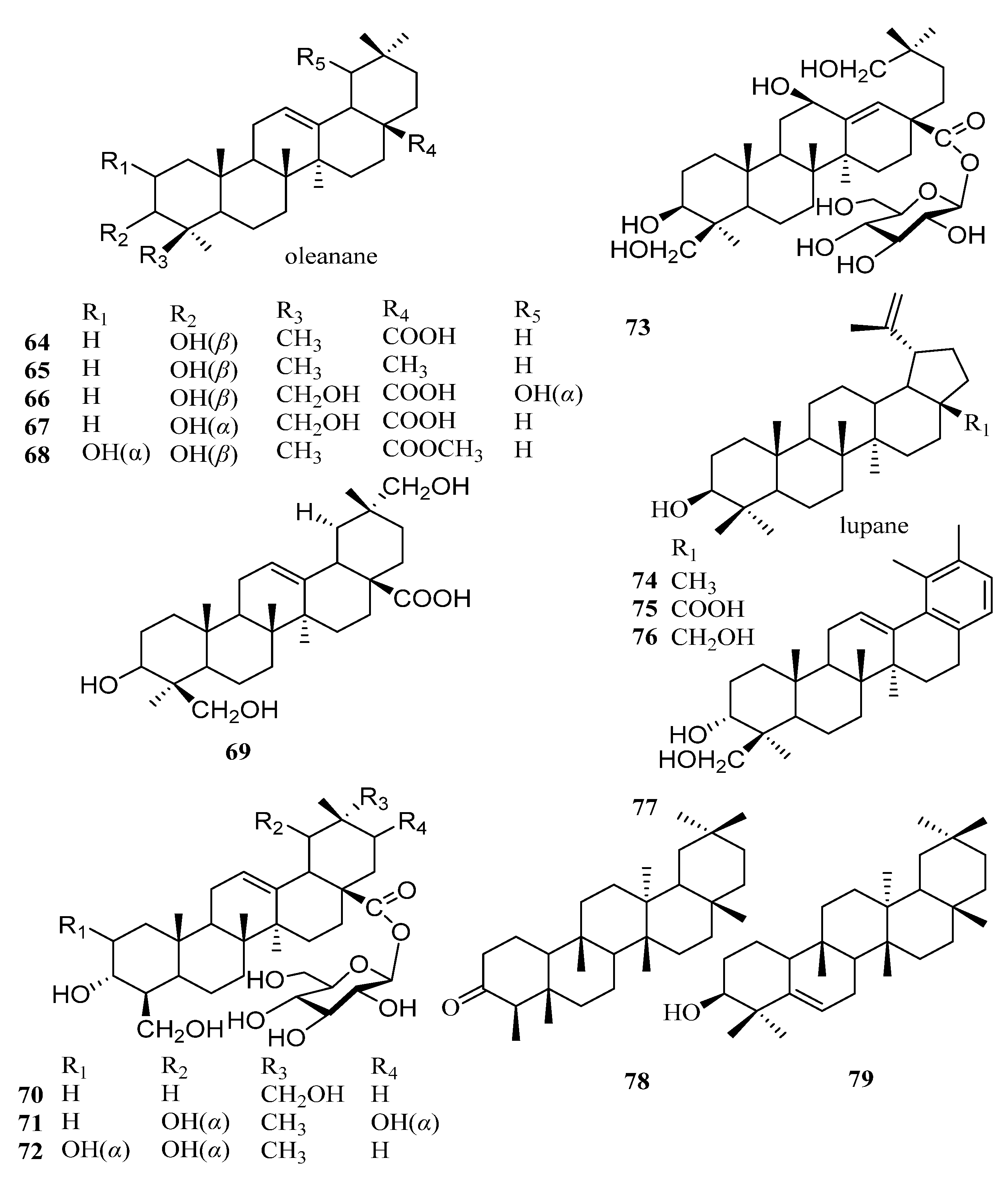 Molecules 29 00215 g004 Molecules 29 00215 g004