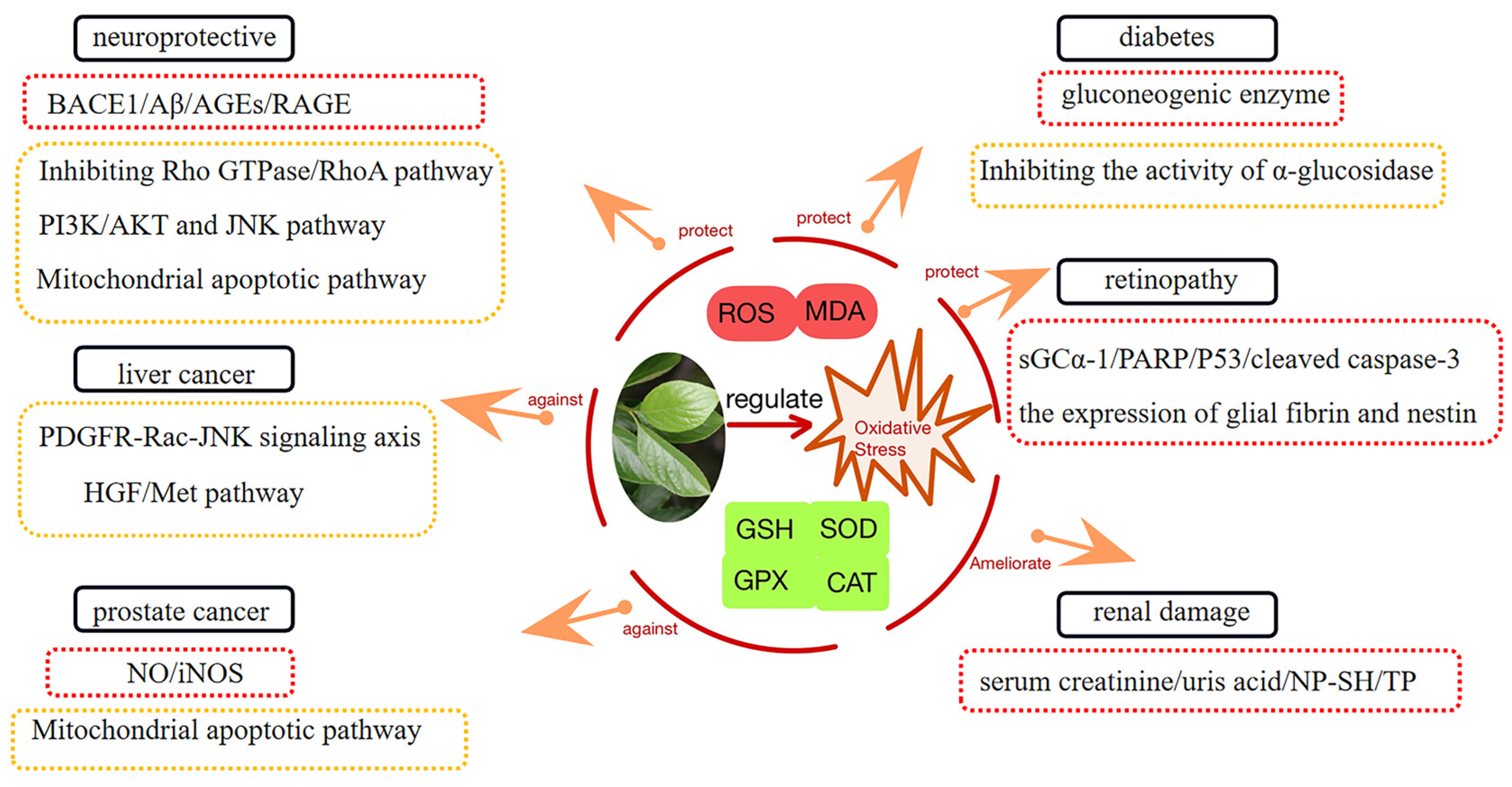Molecules 29 00215 g008 Molecules 29 00215 g008