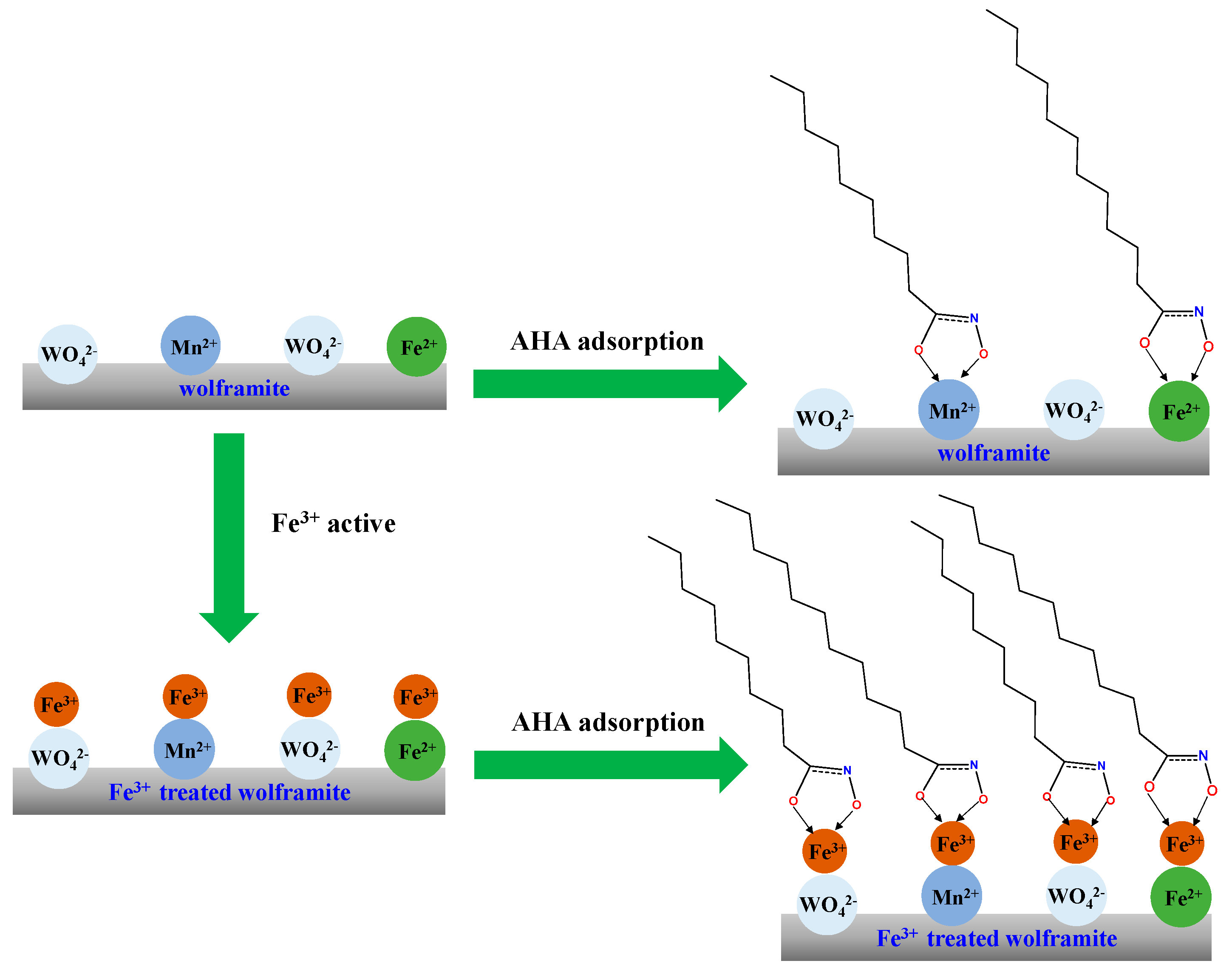 Molecules 29 00217 g010