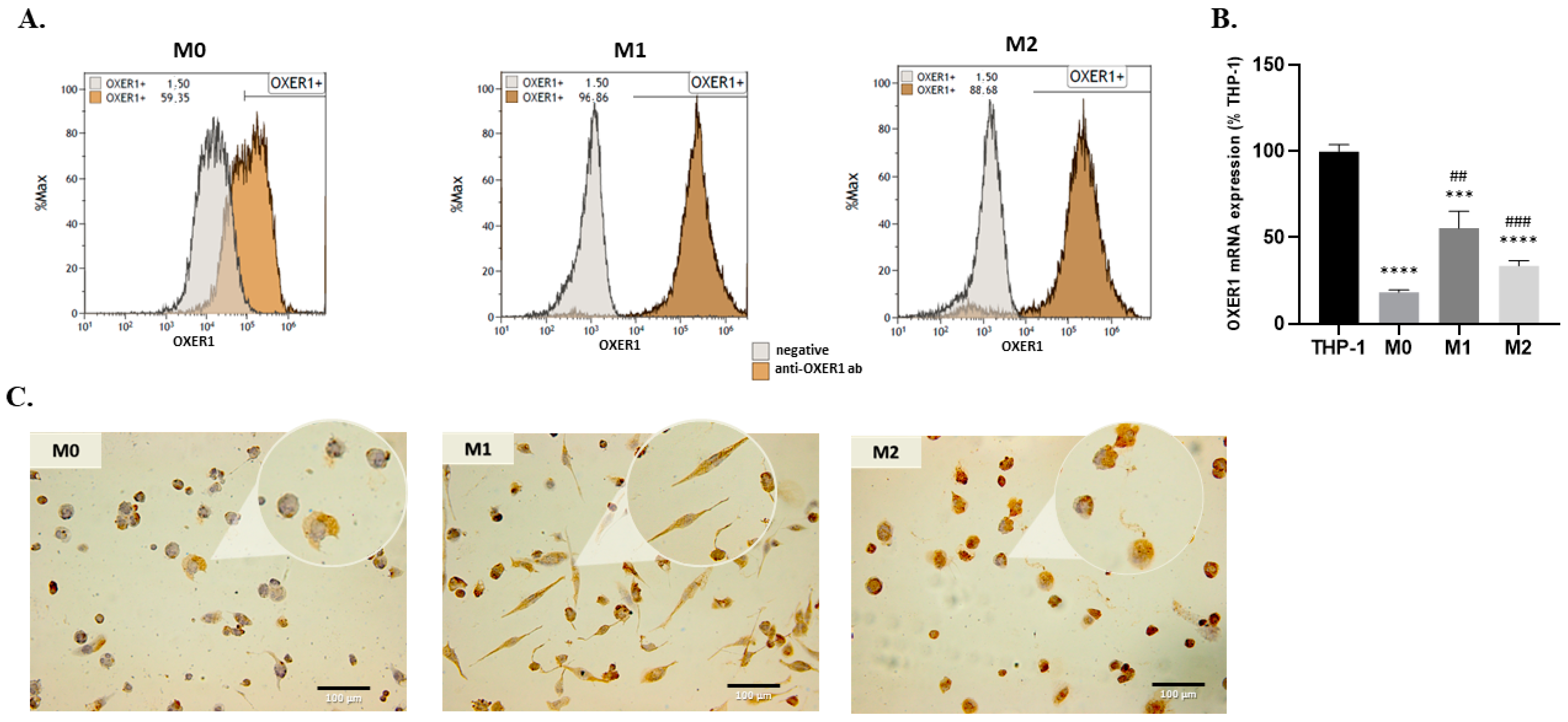 Molecules 29 00224 g003 Molecules 29 00224 g003