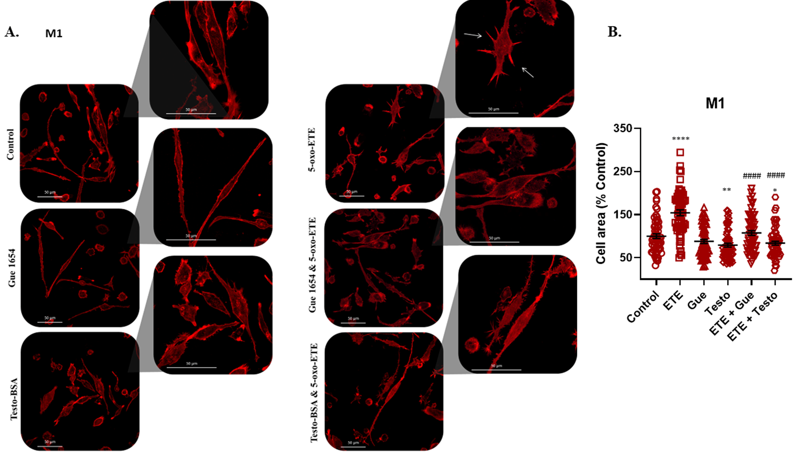 Molecules 29 00224 g005 Molecules 29 00224 g005