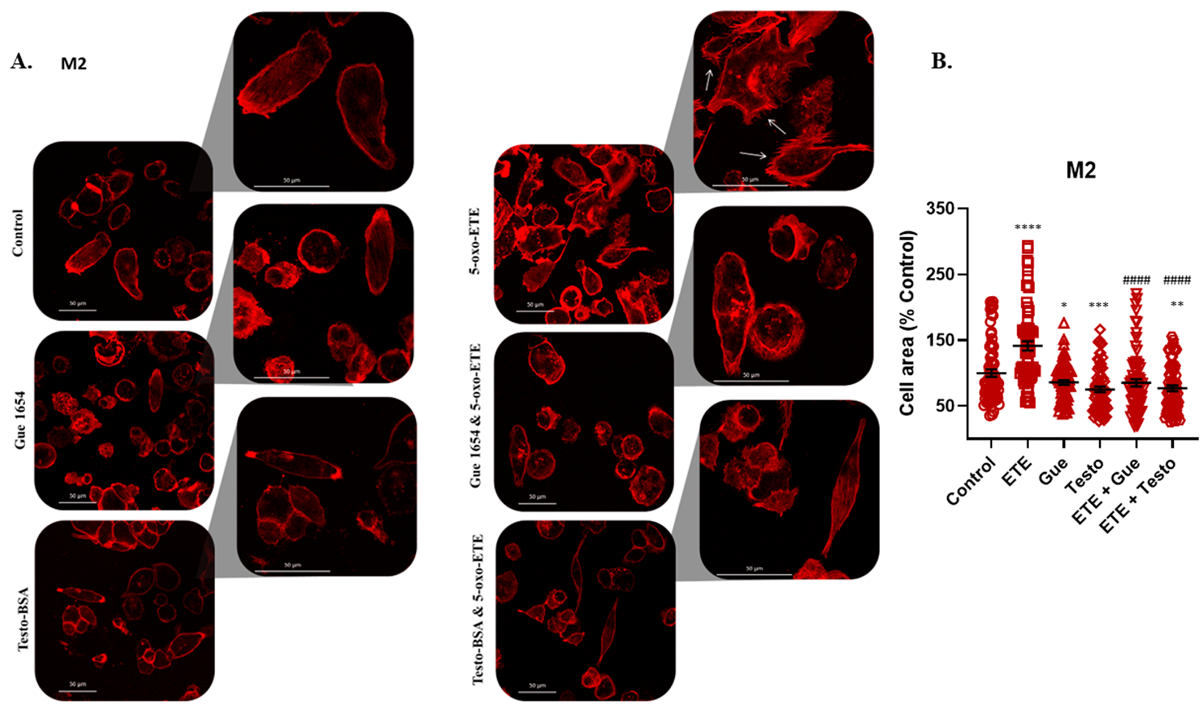 Molecules 29 00224 g006 Molecules 29 00224 g006