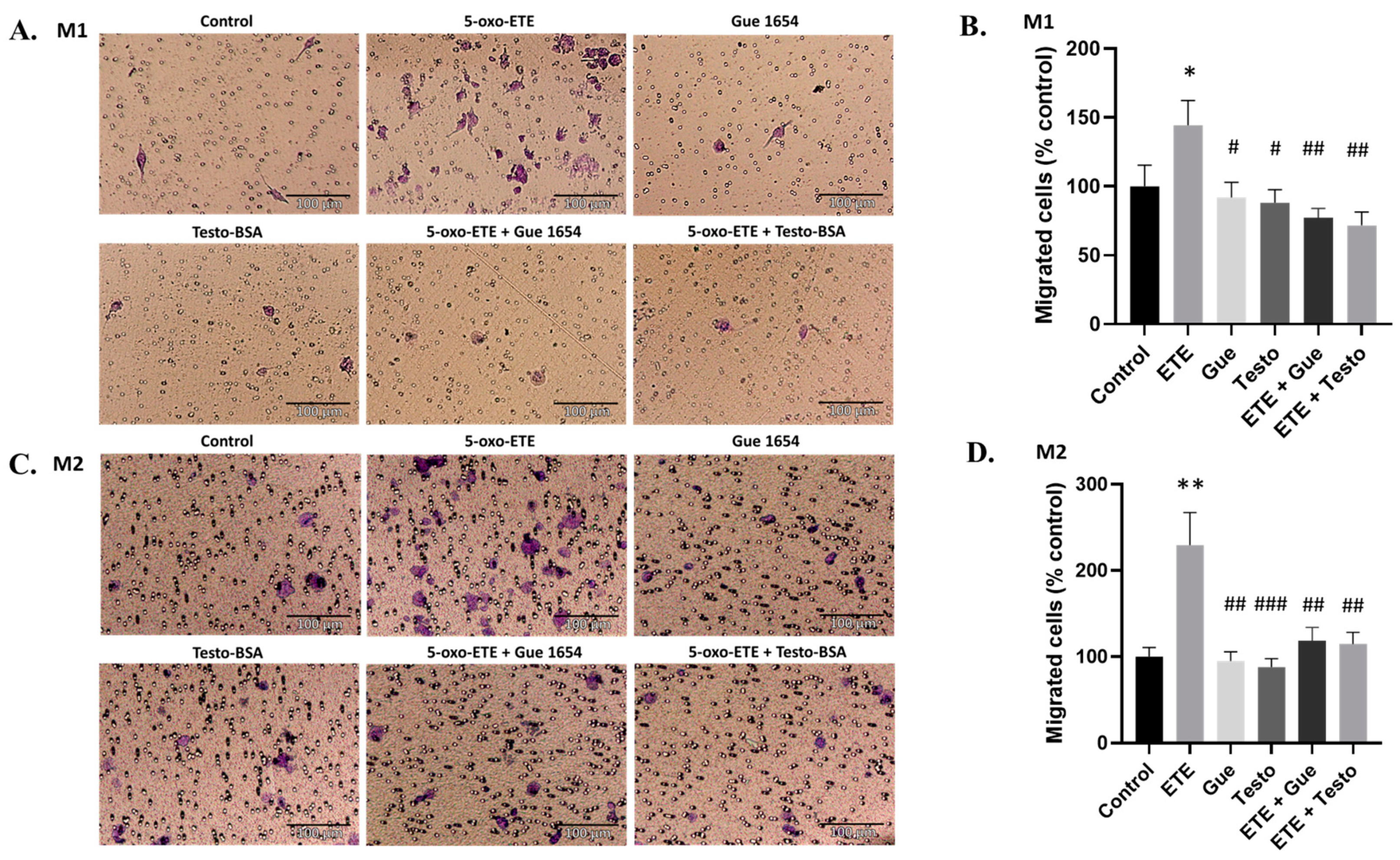 Molecules 29 00224 g007 Molecules 29 00224 g007
