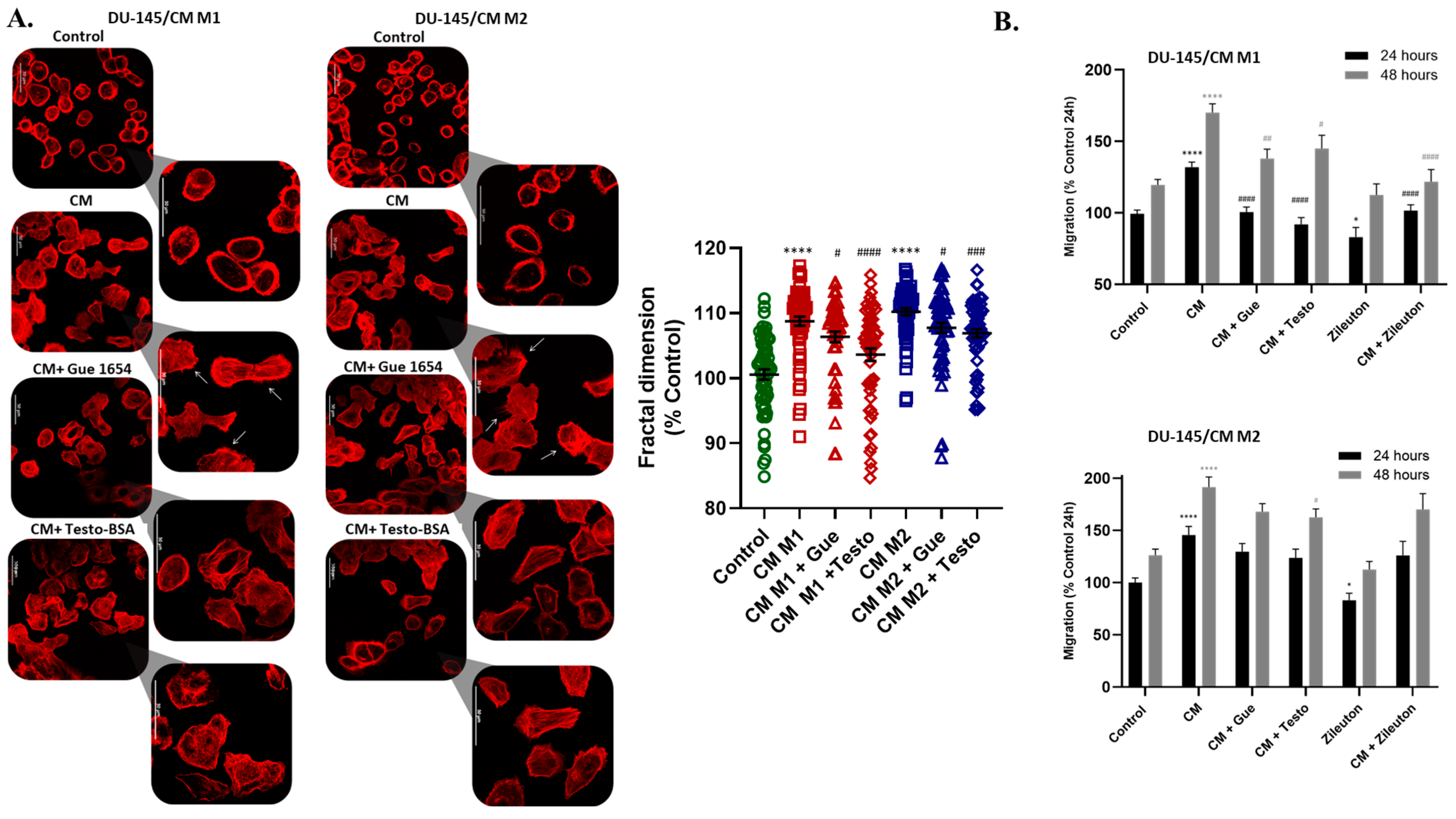 Molecules 29 00224 g008 Molecules 29 00224 g008