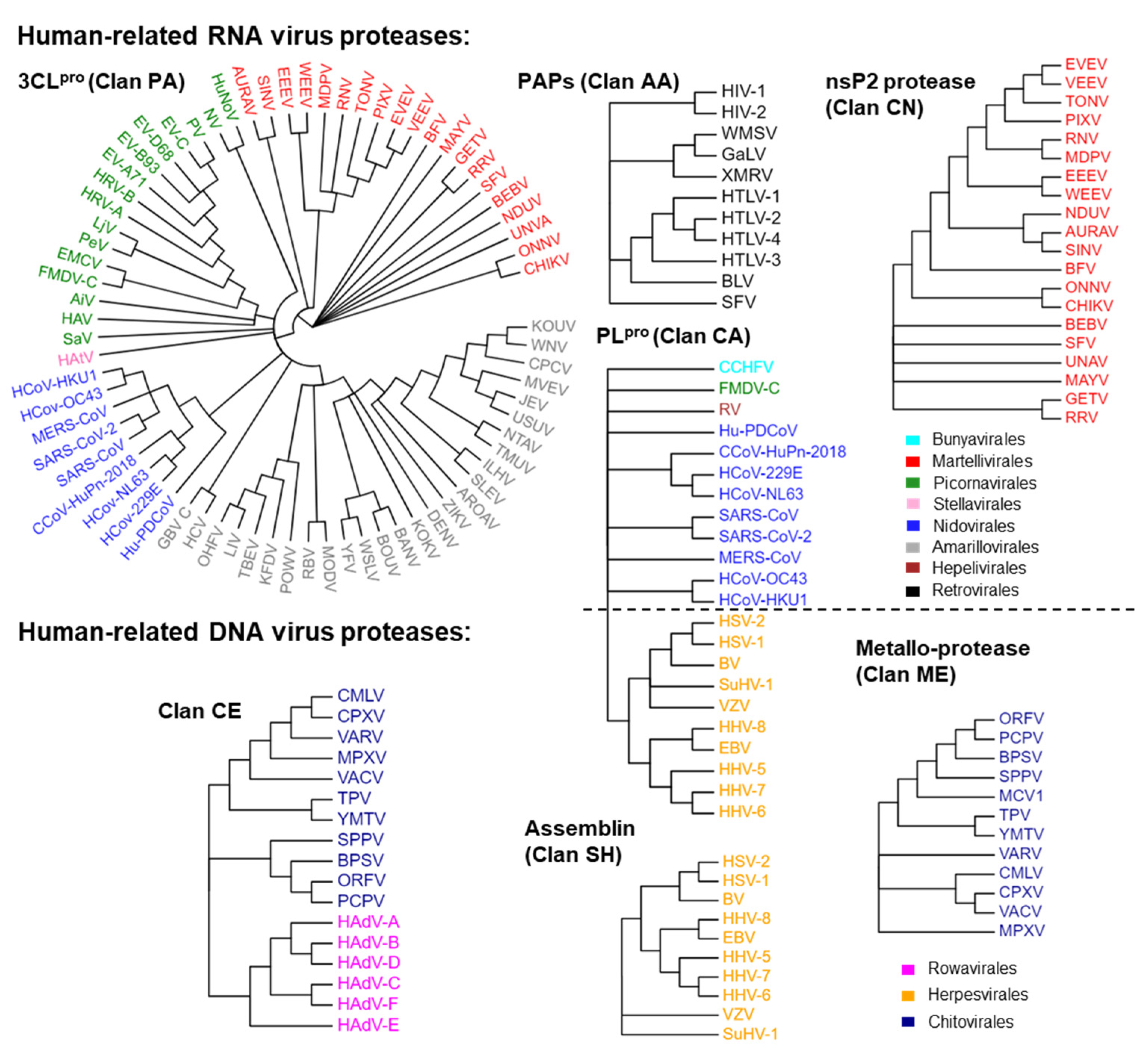Molecules 29 00225 g002 Molecules 29 00225 g002