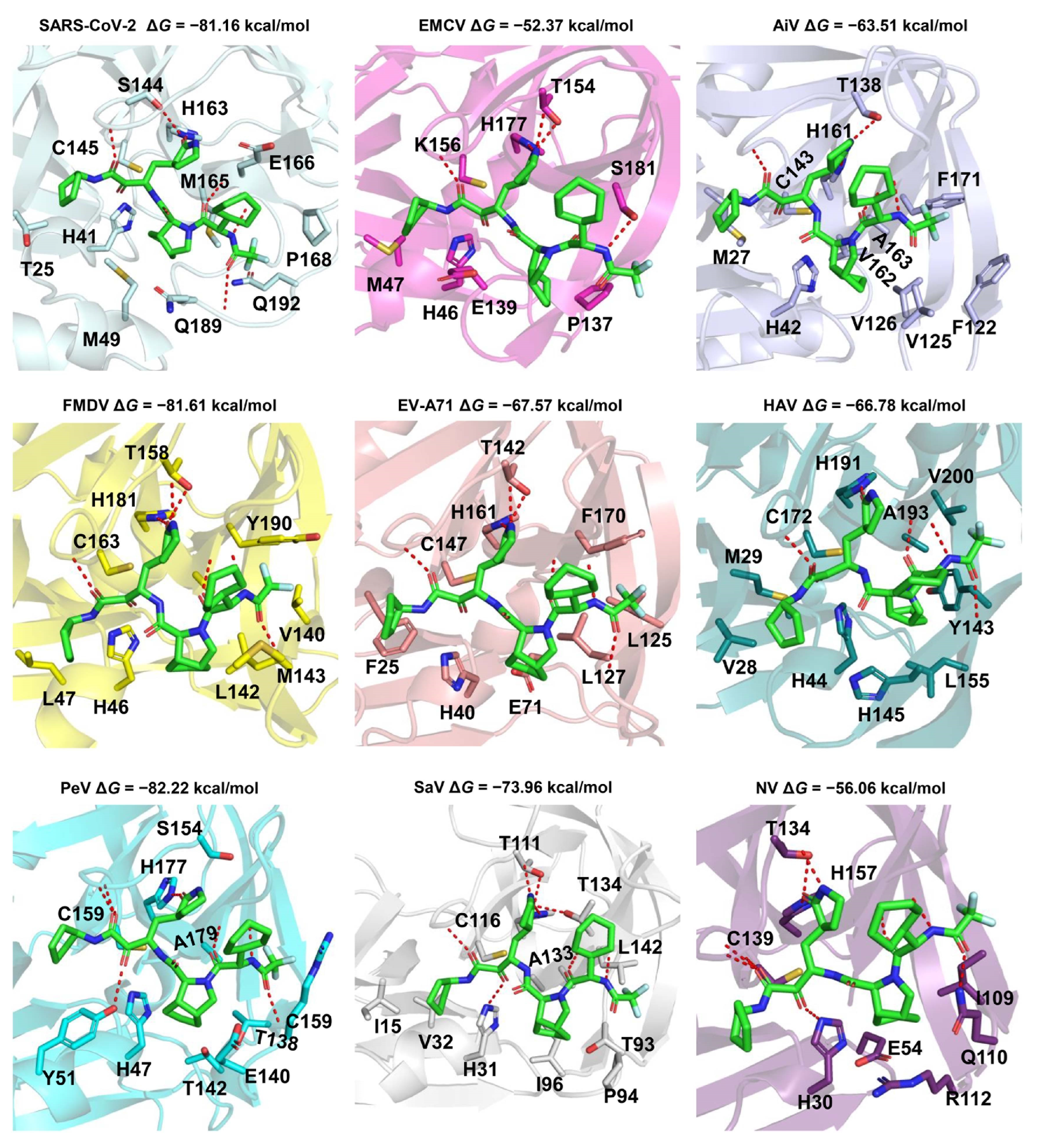 Molecules 29 00225 g005 Molecules 29 00225 g005