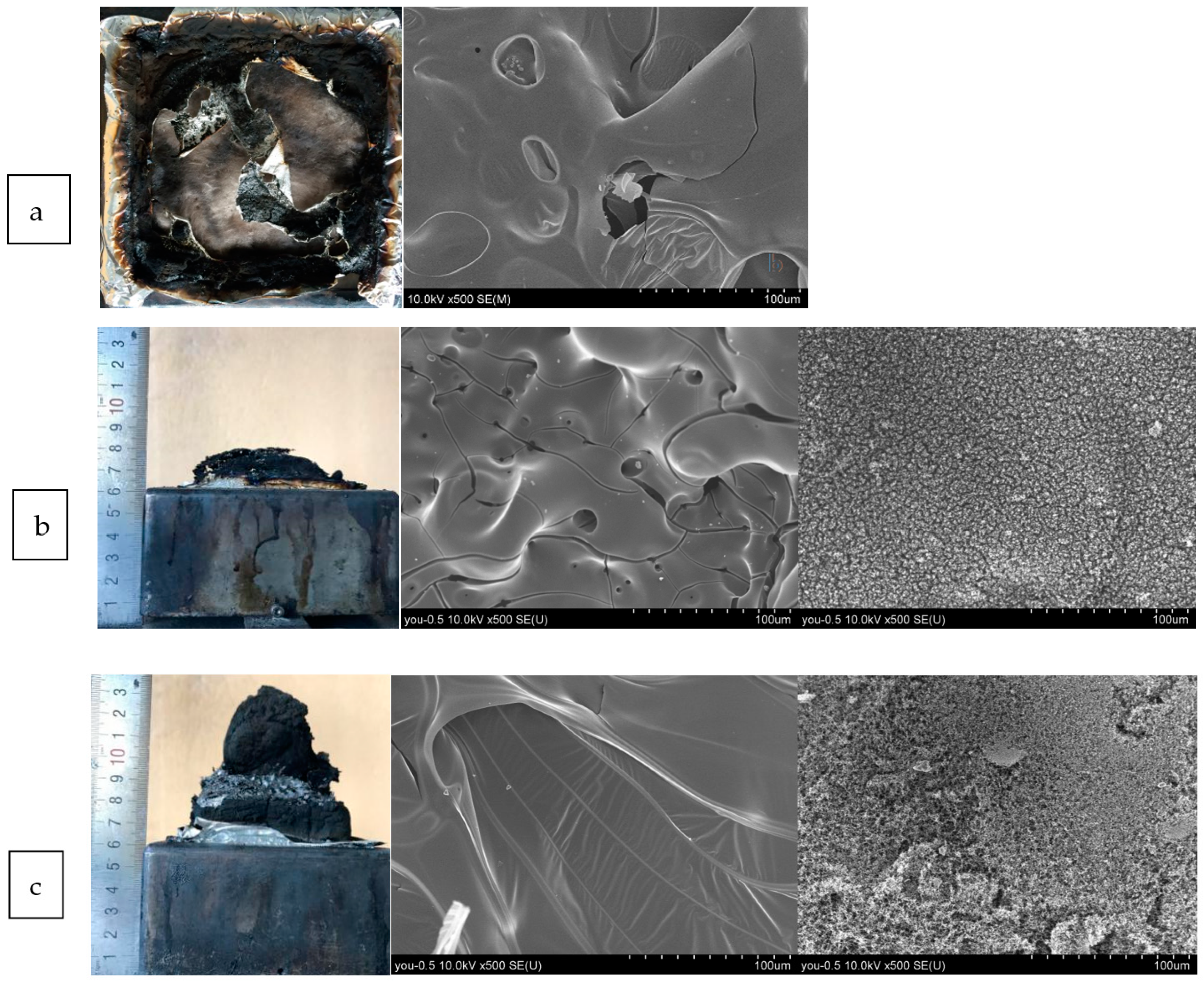 Molecules 29 00227 g005a