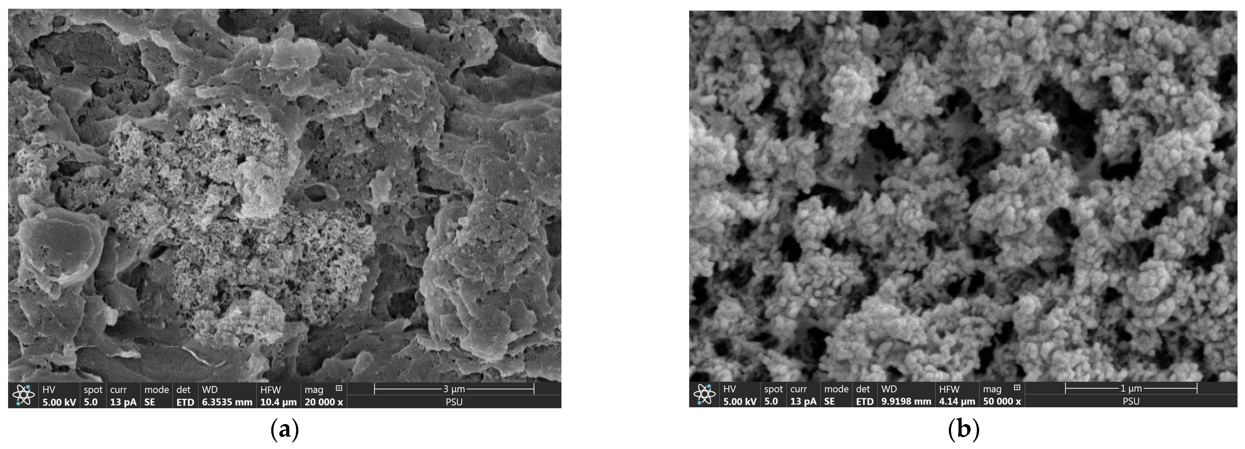 Molecules 29 00228 g002