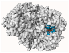 Molecules 29 00233 i002 Molecules 29 00233 i002