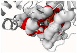 Molecules 29 00233 i004 Molecules 29 00233 i004
