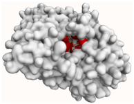 Molecules 29 00233 i005 Molecules 29 00233 i005